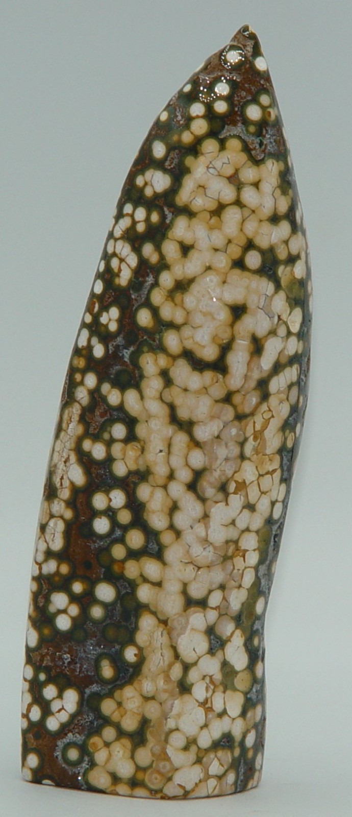 Ocean Jasper Bubble Orbicular Tower 8th Vein OJ Polished Crystal 5.75″ 356g
