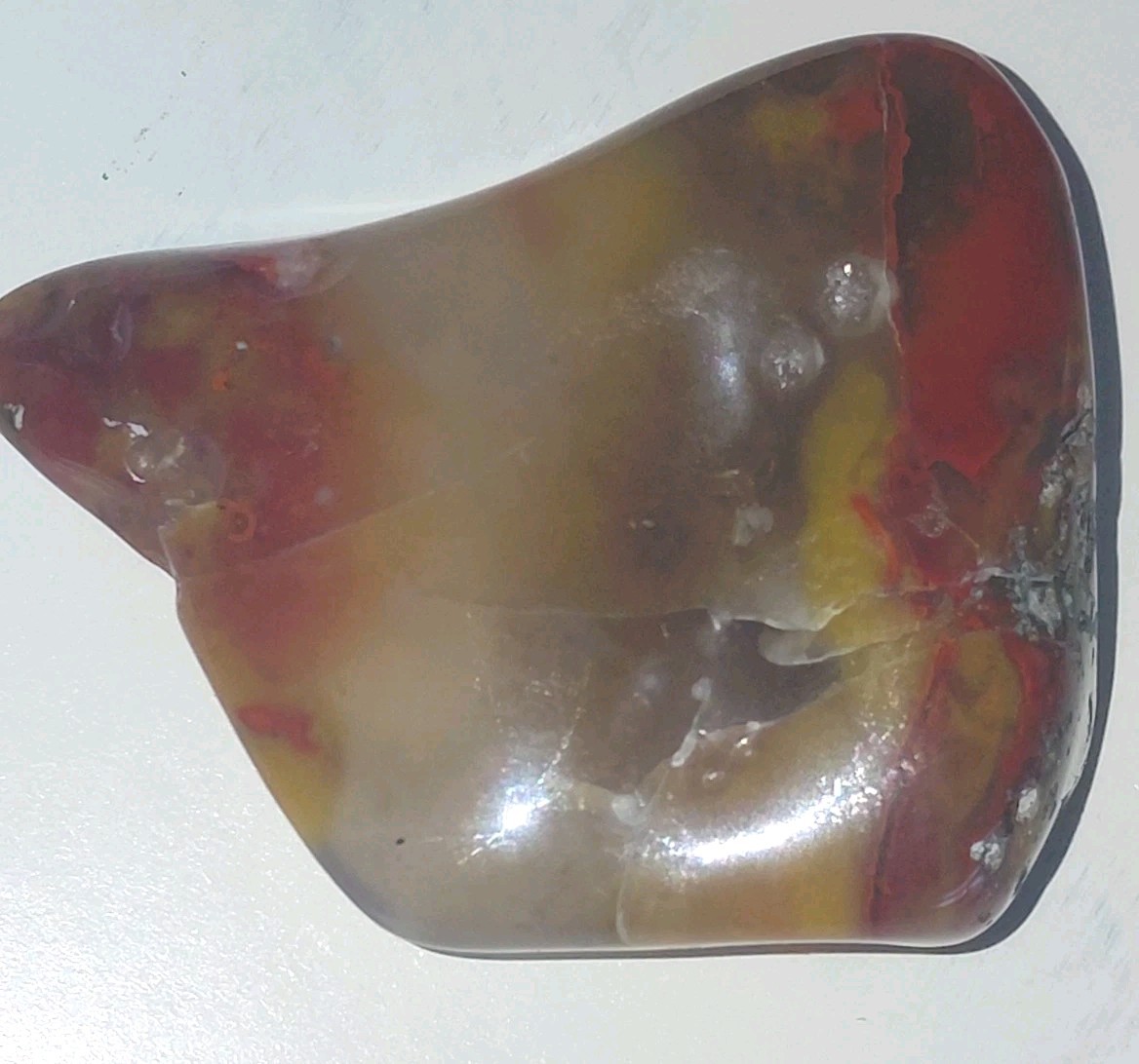 Polished Yellow Cat UV+ Agatized Petrified Wood Limb Cast Mineralization @ Depth