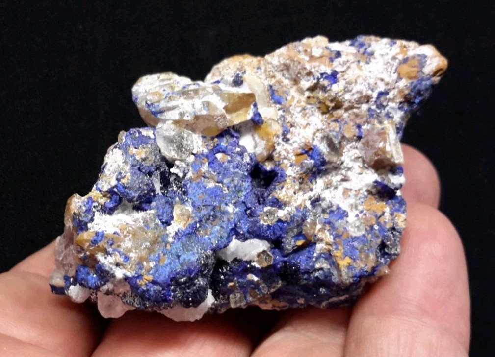 12 Piece AZURITE with QUARTZ and FLUORITE from Sierra Rica, Chihuahua, Mexico