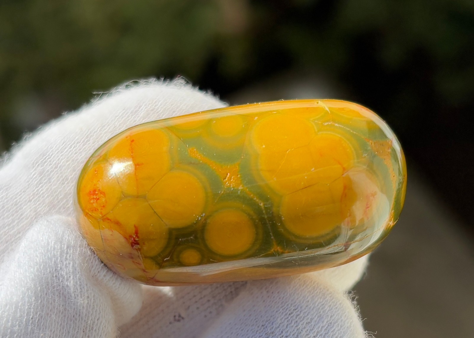 US SALE 349g LOT 12 OJ OCEAN JASPER LOG TUMBLE TUMBLES TUMBLED STONE STONES