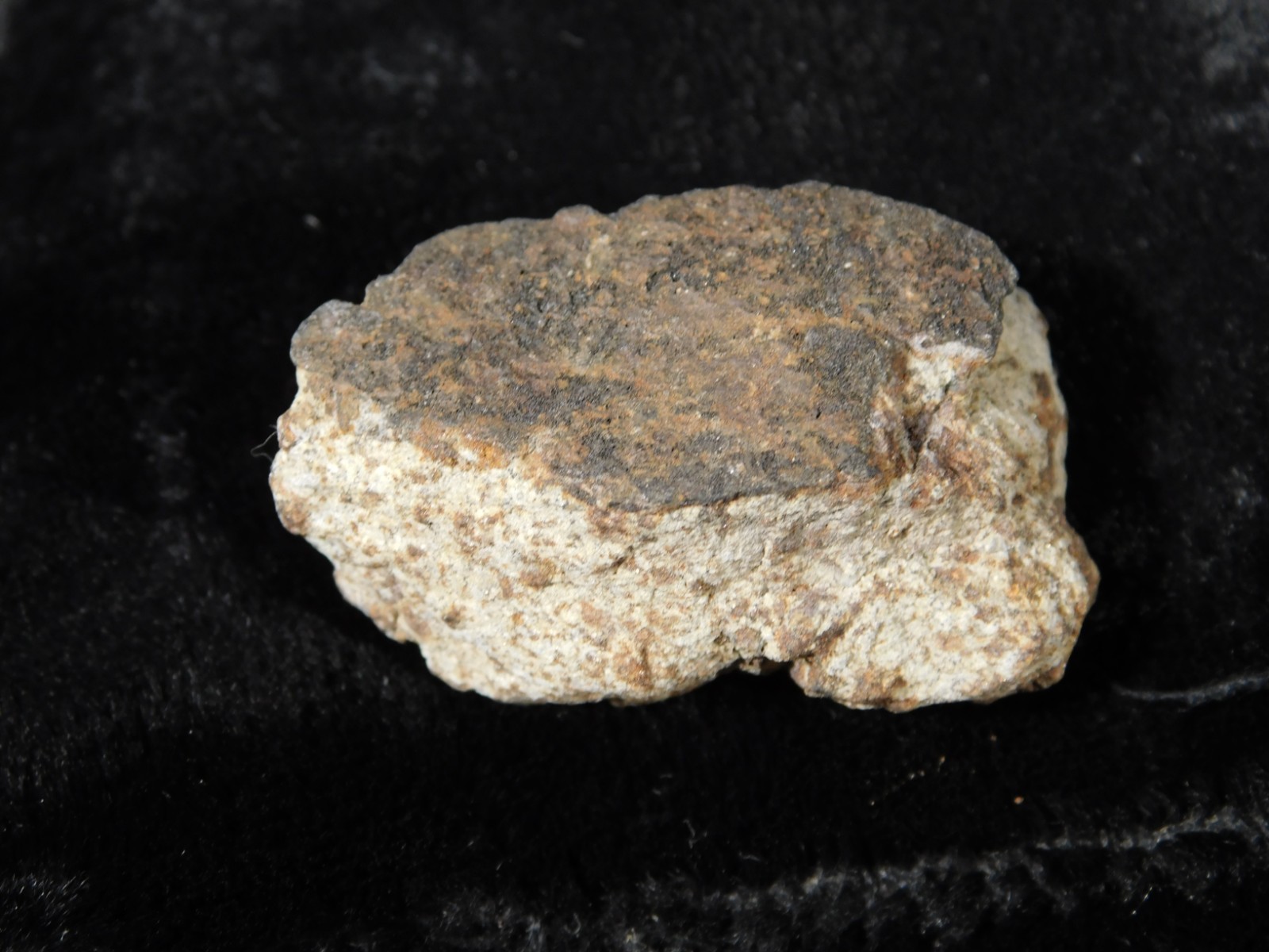 Classified NWA 8245 METEORITE Spots of Dark Fusion Crust! Erfoud, Morocco 21.0gr