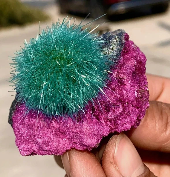 Red Rare Dandelion Zeolite Quartz Crystal Healing Cluster Mineral Specimen Decor