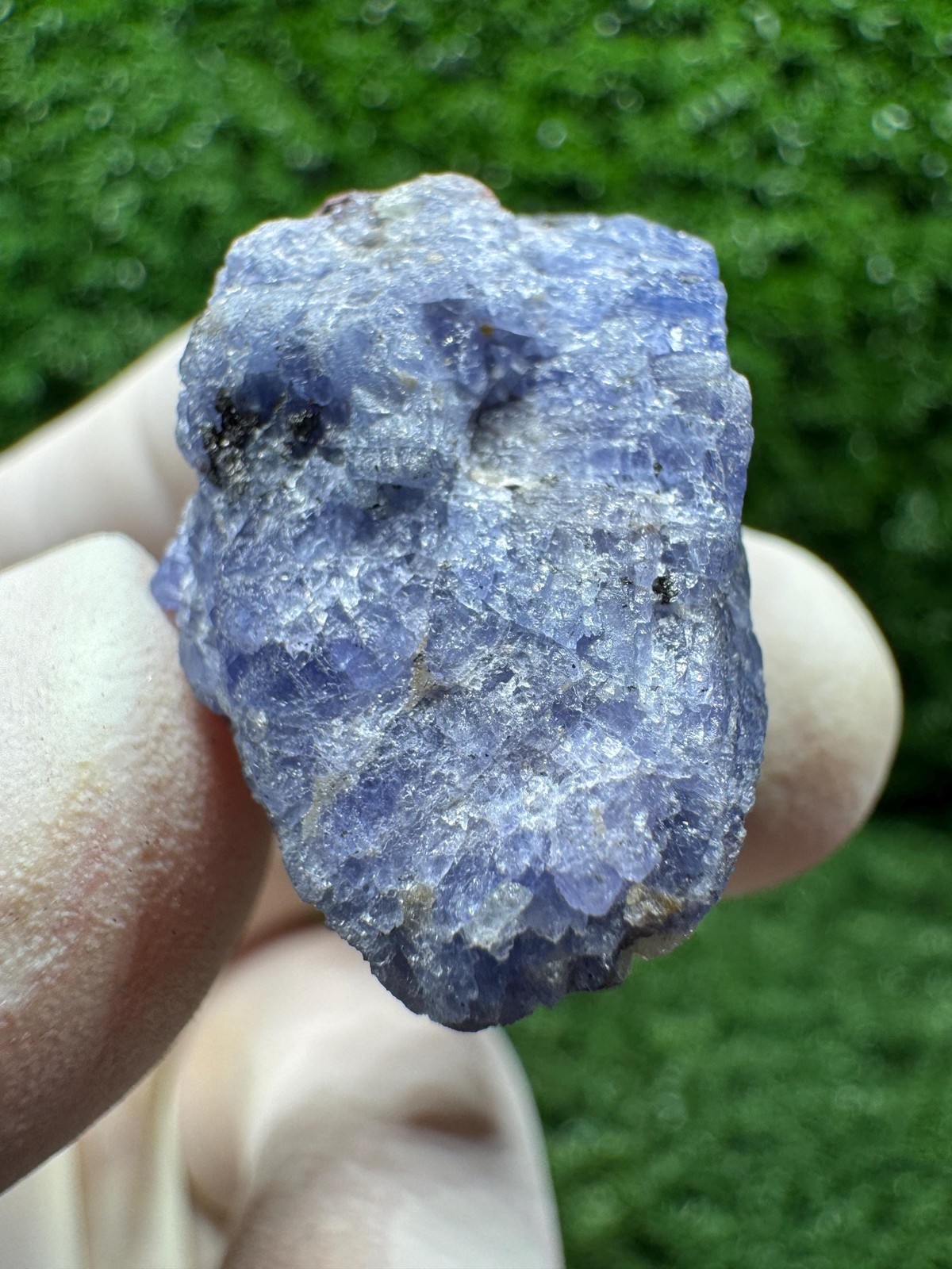 Lovely TANZANITE Crystal with COLOR CHANGE under yellow/white light / F222