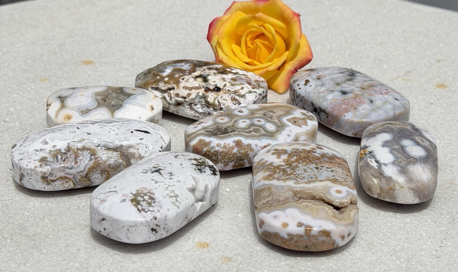 Wholesale Lot 1 Lb Natural Ocean Jasper Palm Stone Crystal Healing Energy.