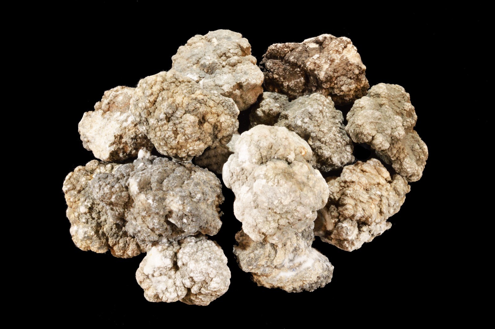 HOWLITE 2 1/2″ 4-7 Oz Rocks and Minerals Specimen Crown Chakra Healing Crystal