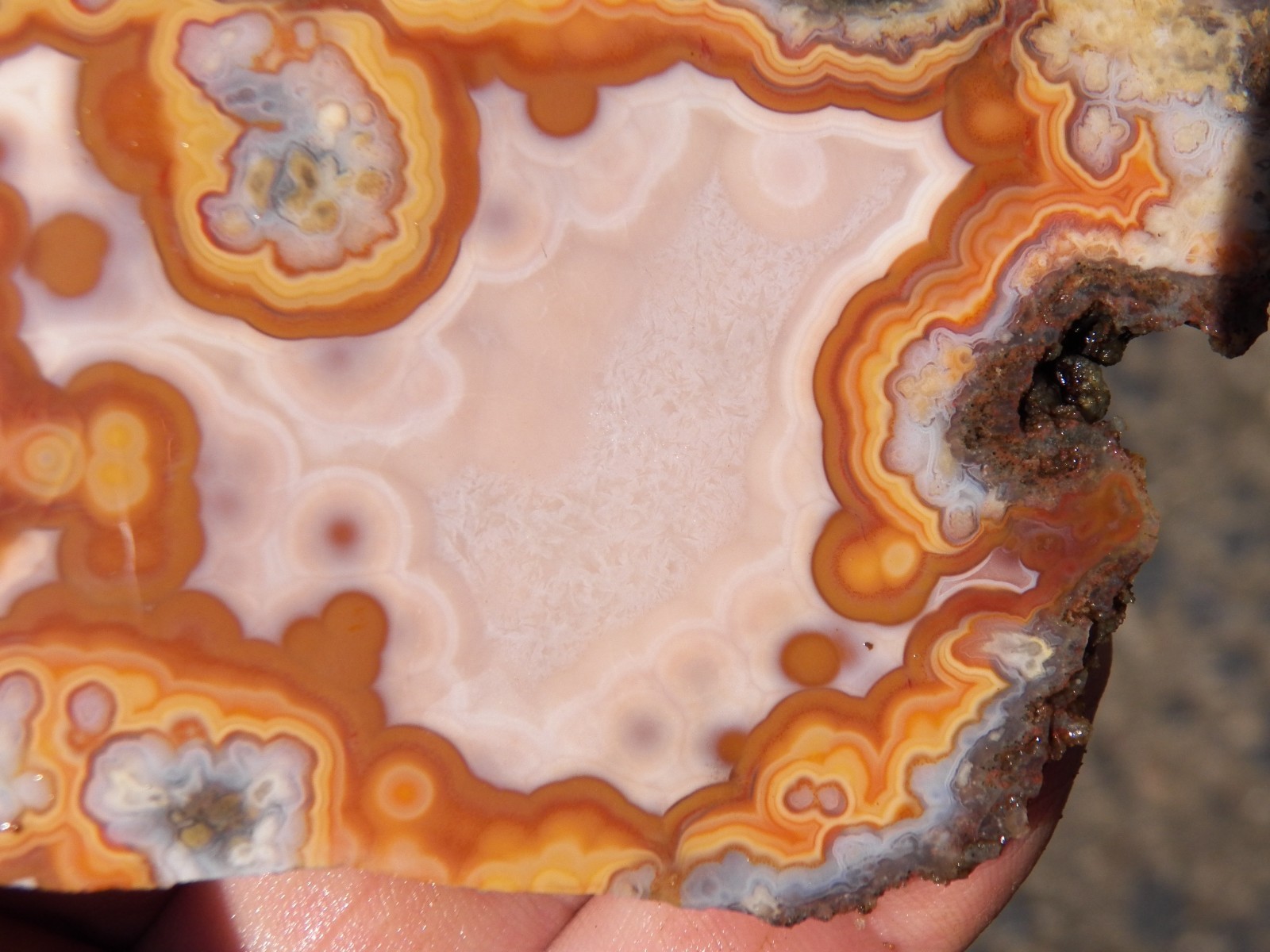 Agouim High Atlas Morocco agate contrast specimen rough end cut