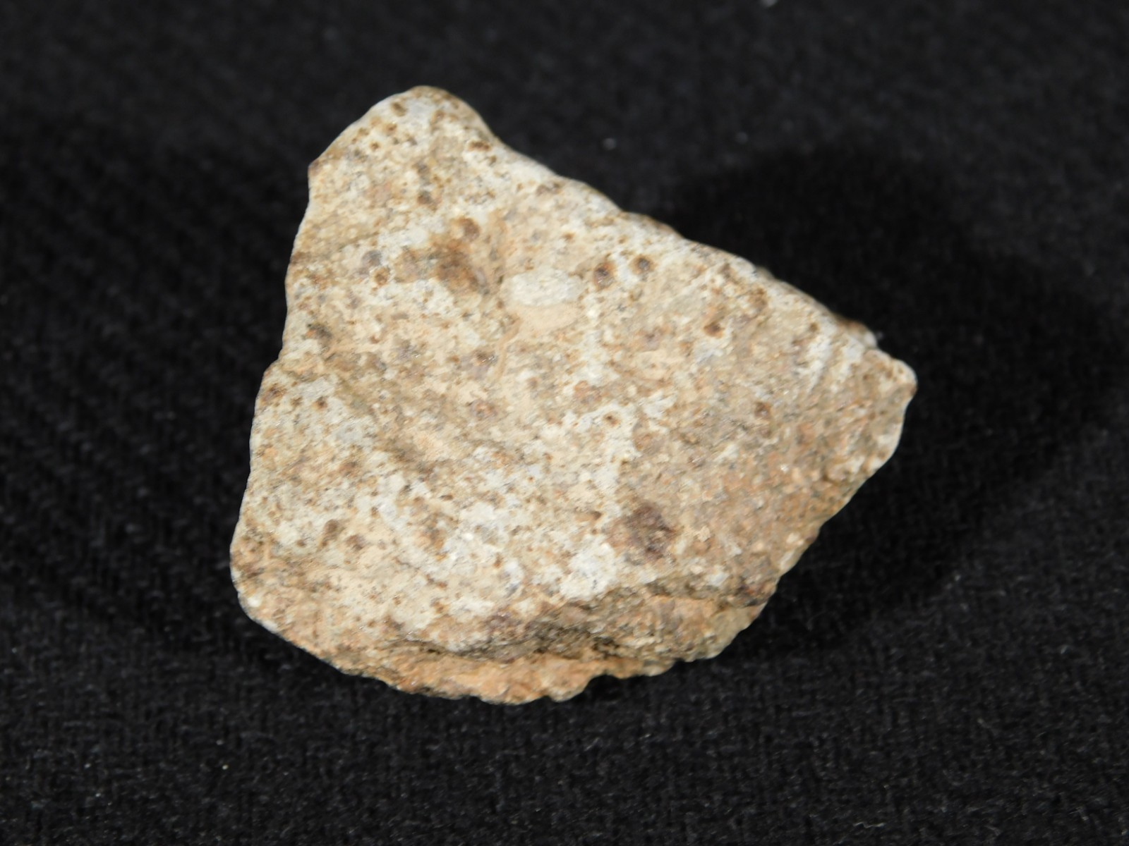 NWA 8245 METEORITE with DARK Fusion Crust & Contraction CRACKS Morocco 36.1gr