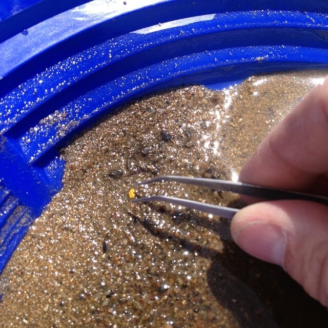 BEST: Gold Paydirt 5 Gallon 100% Unsearched: The picture is from 1/2 cup of dirt