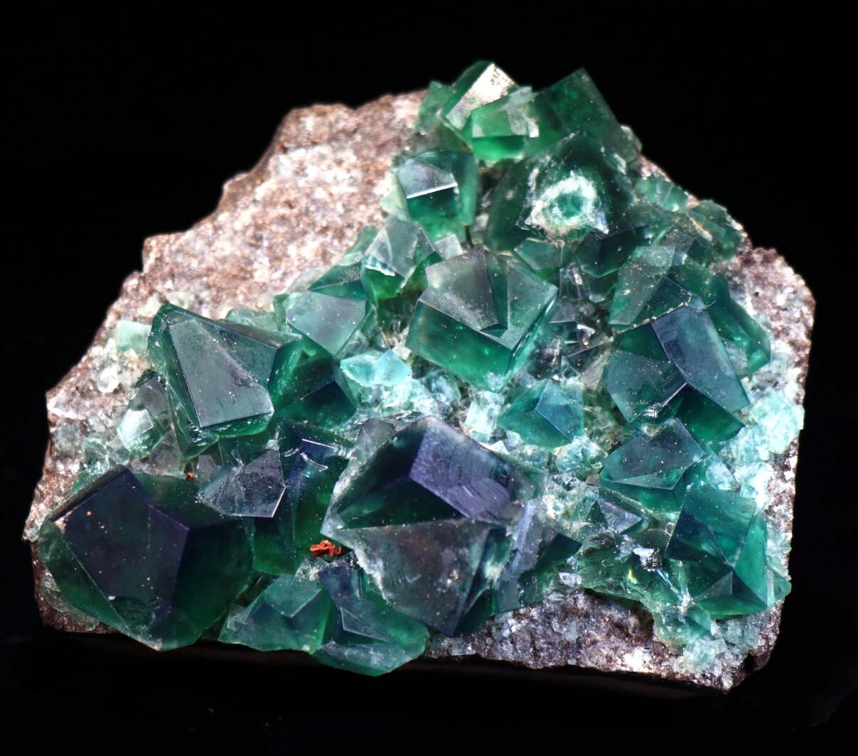 3.75″ Blue Green FLUORITE Crystals, Rogerley UK! FL376