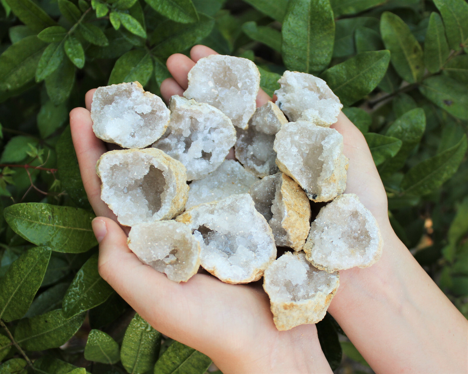 20 Break Crack Open Your Own Whole Quartz Geodes (Unopened Crystals)