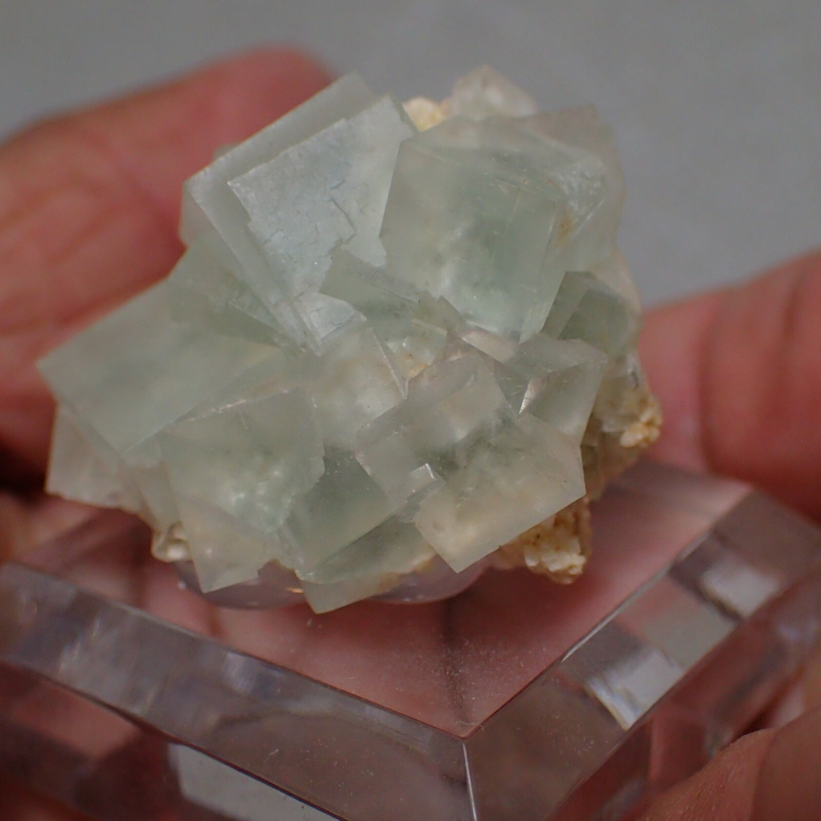 Fluorite, Rieding Lake, Weisseck, Lungua, Salzburg, Austria