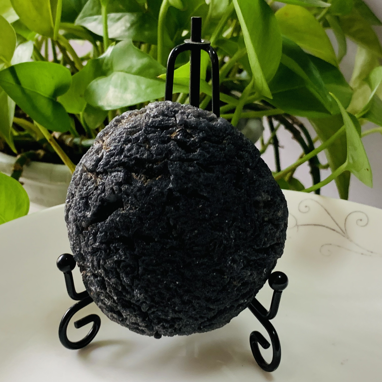 TOP 286g Natural Carbonaceous Chondrite Meteorite with Black reiki healing+stand