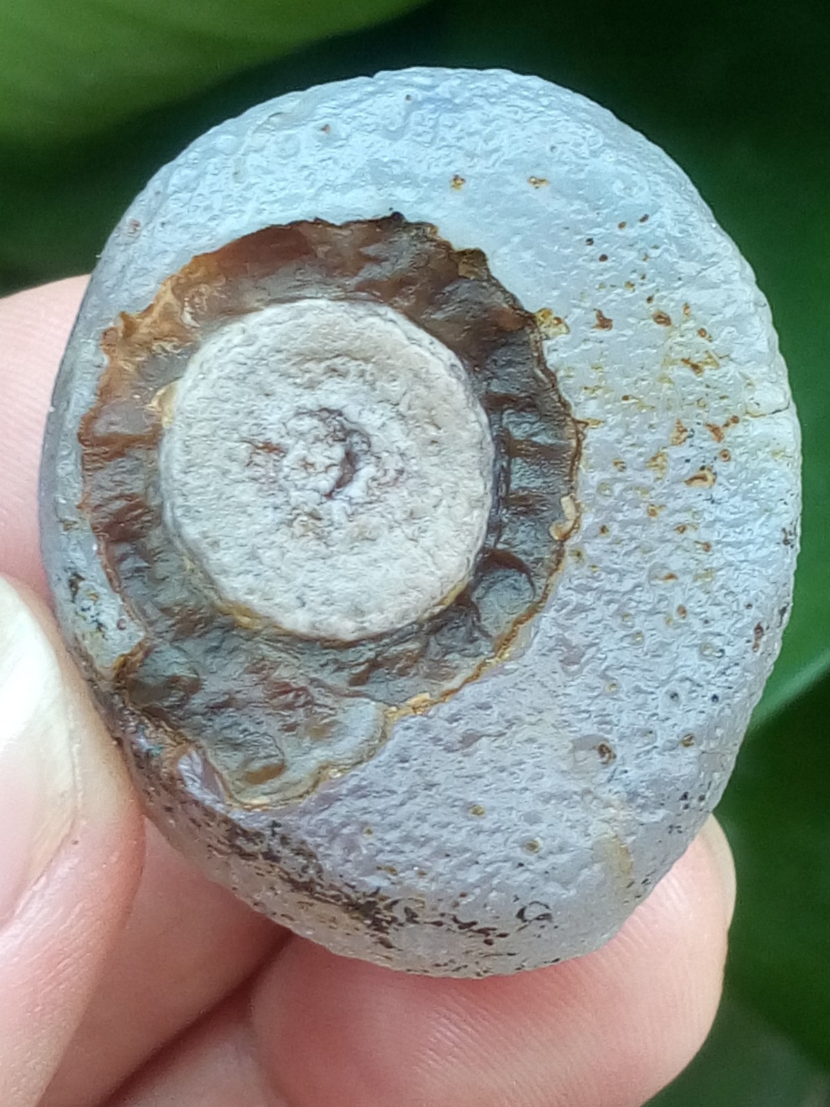36mm Beautiful Natural Gobi agate eye agate stone collection
