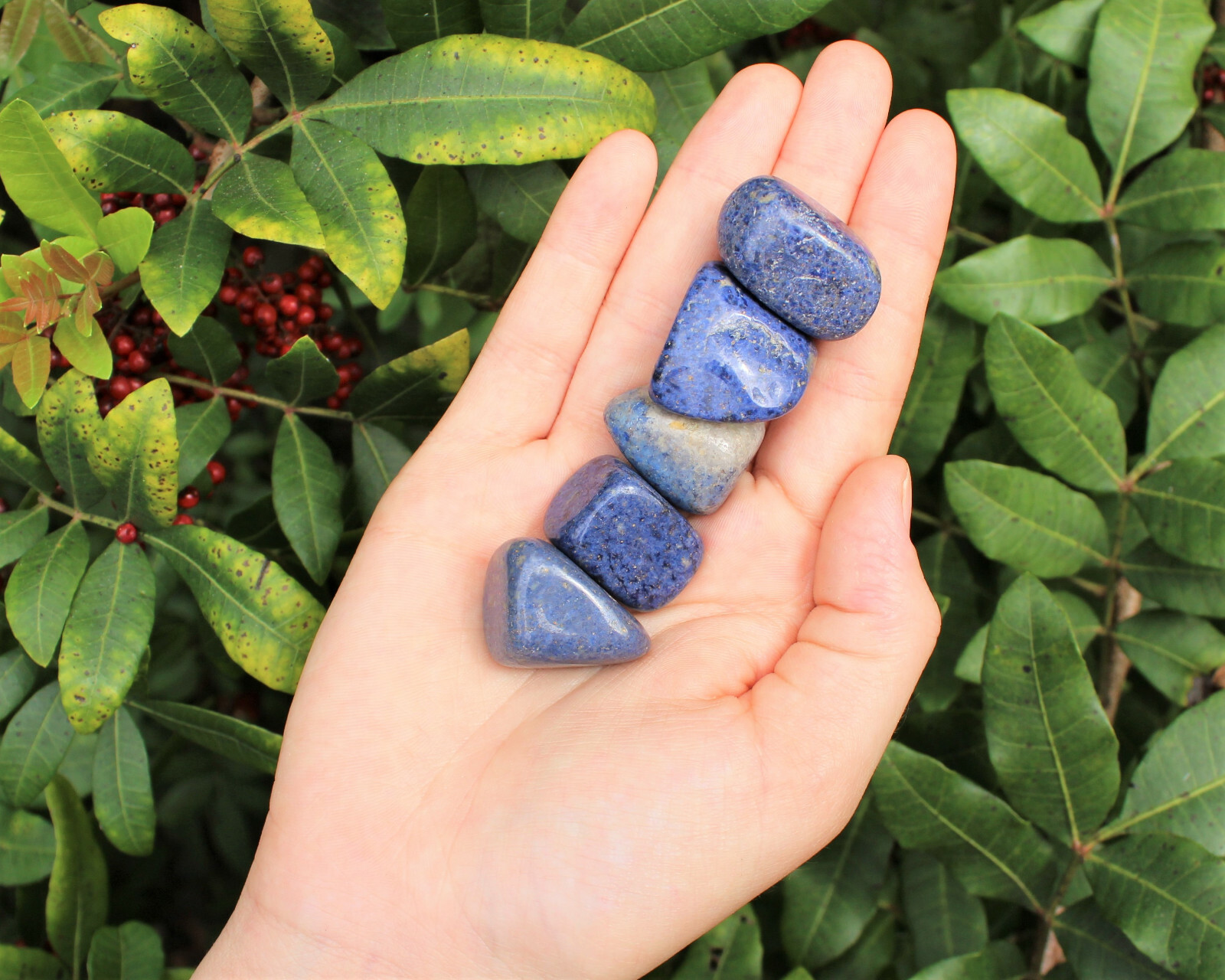 Wholesale Bulk 1/2 lb lot Dumortierite Tumbled Stones Crystal Healing Gemstone