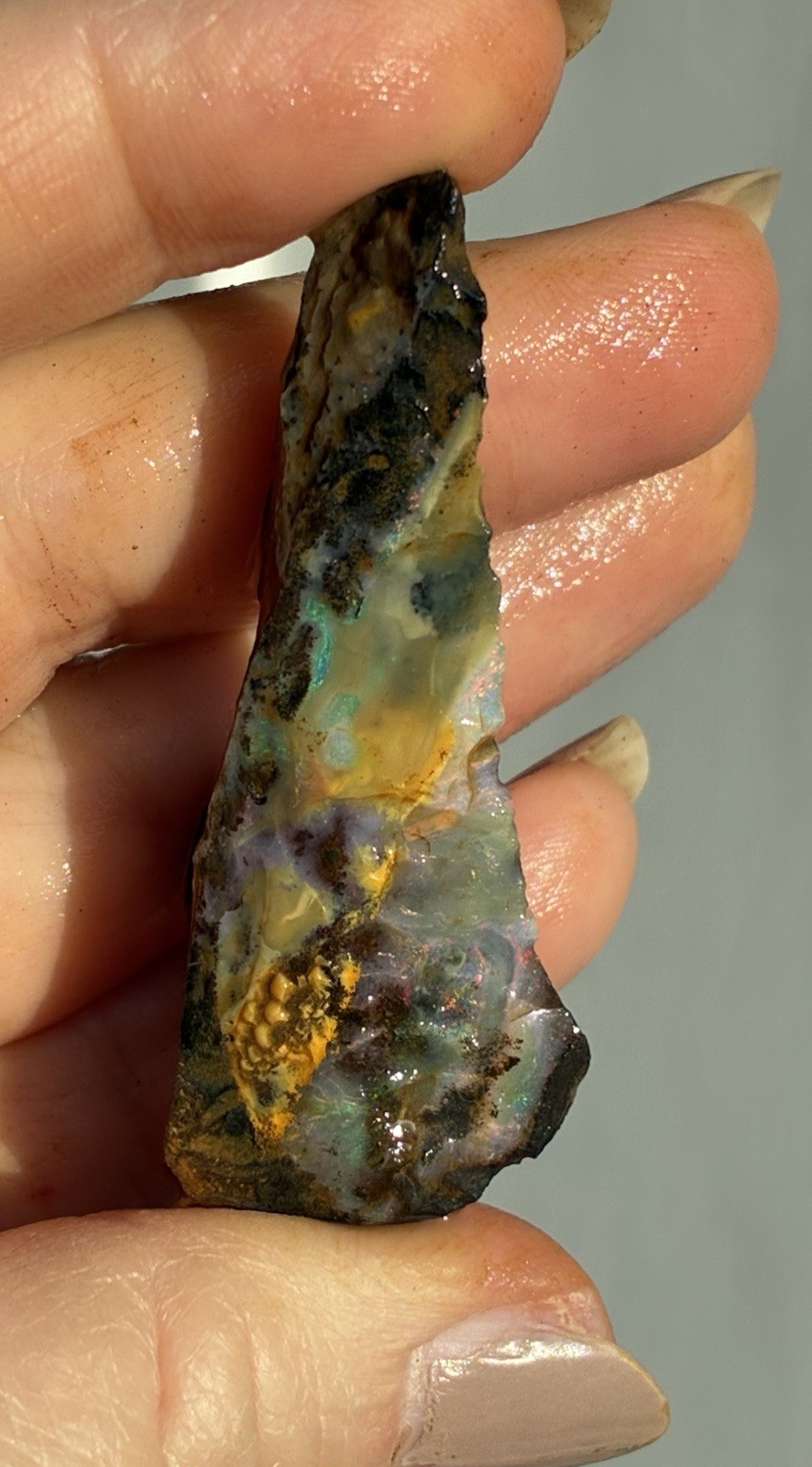 Beautiful 89ct Large Australian Boulder Opal Rough Loose Multicolor Specimen J