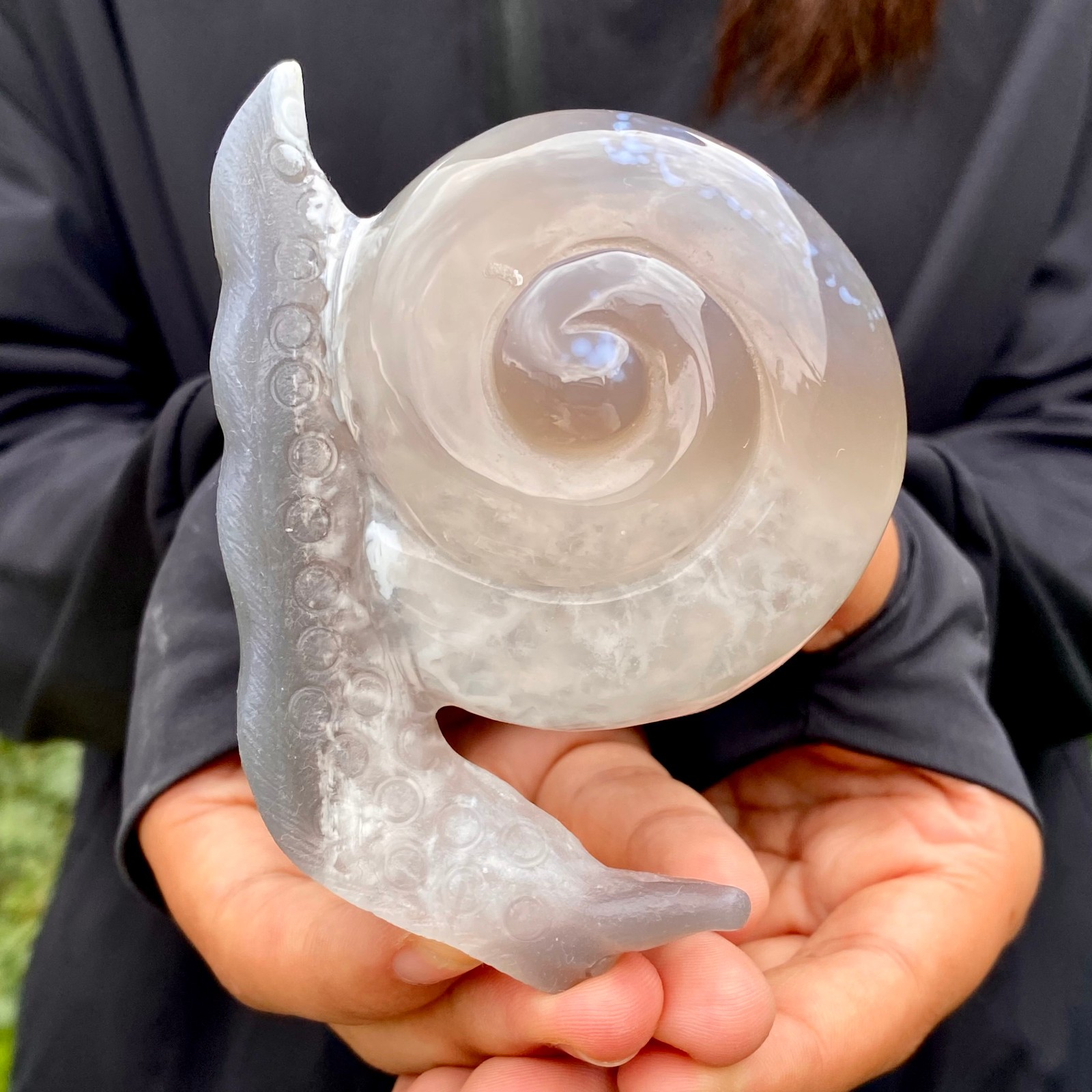269G Natural Ocean Agate Snail Hand Carving Gemstone Ornament Home Decoration