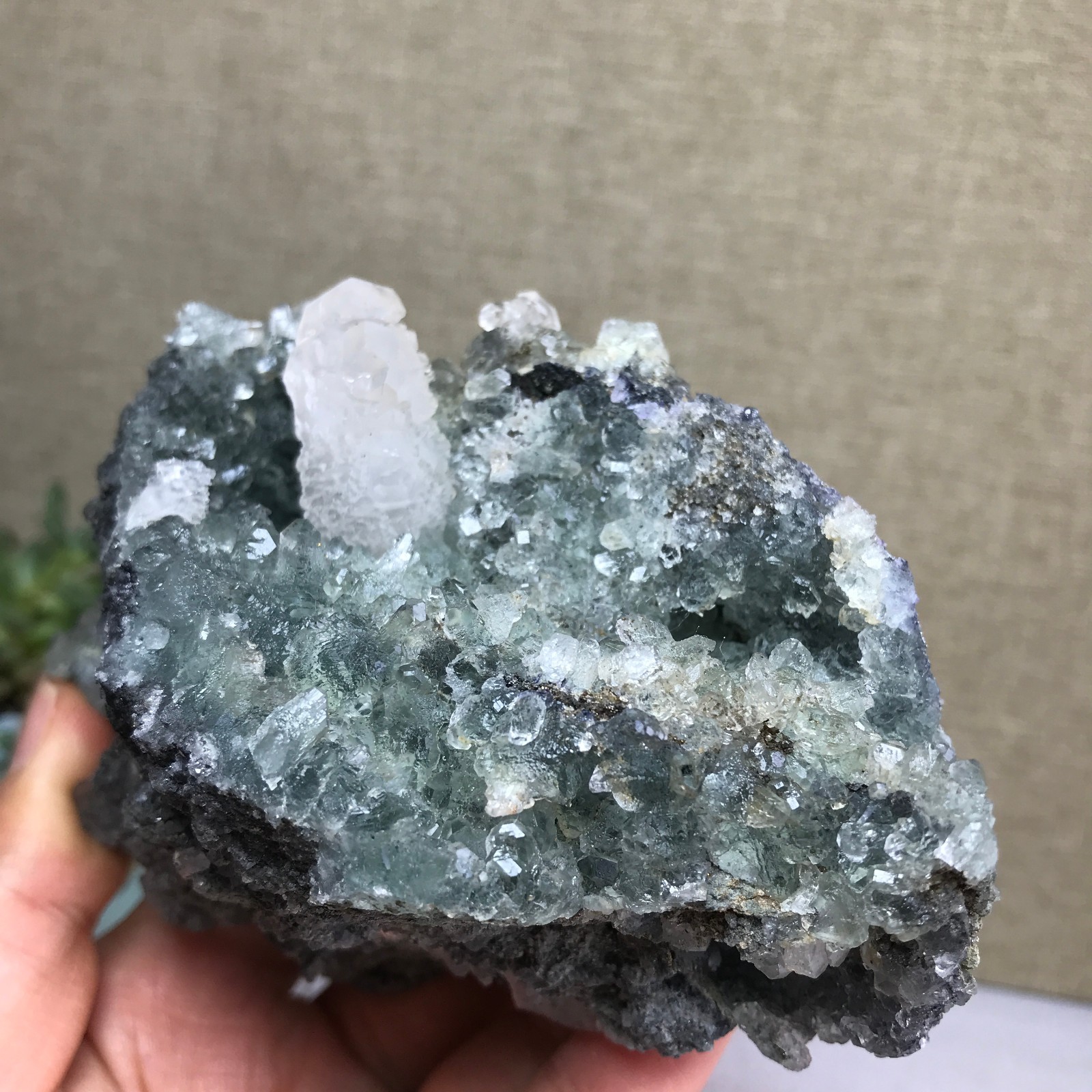 476g NATURAL Green Cubic FLUORITE paragenesis Crystal Cluster Specimen A4780