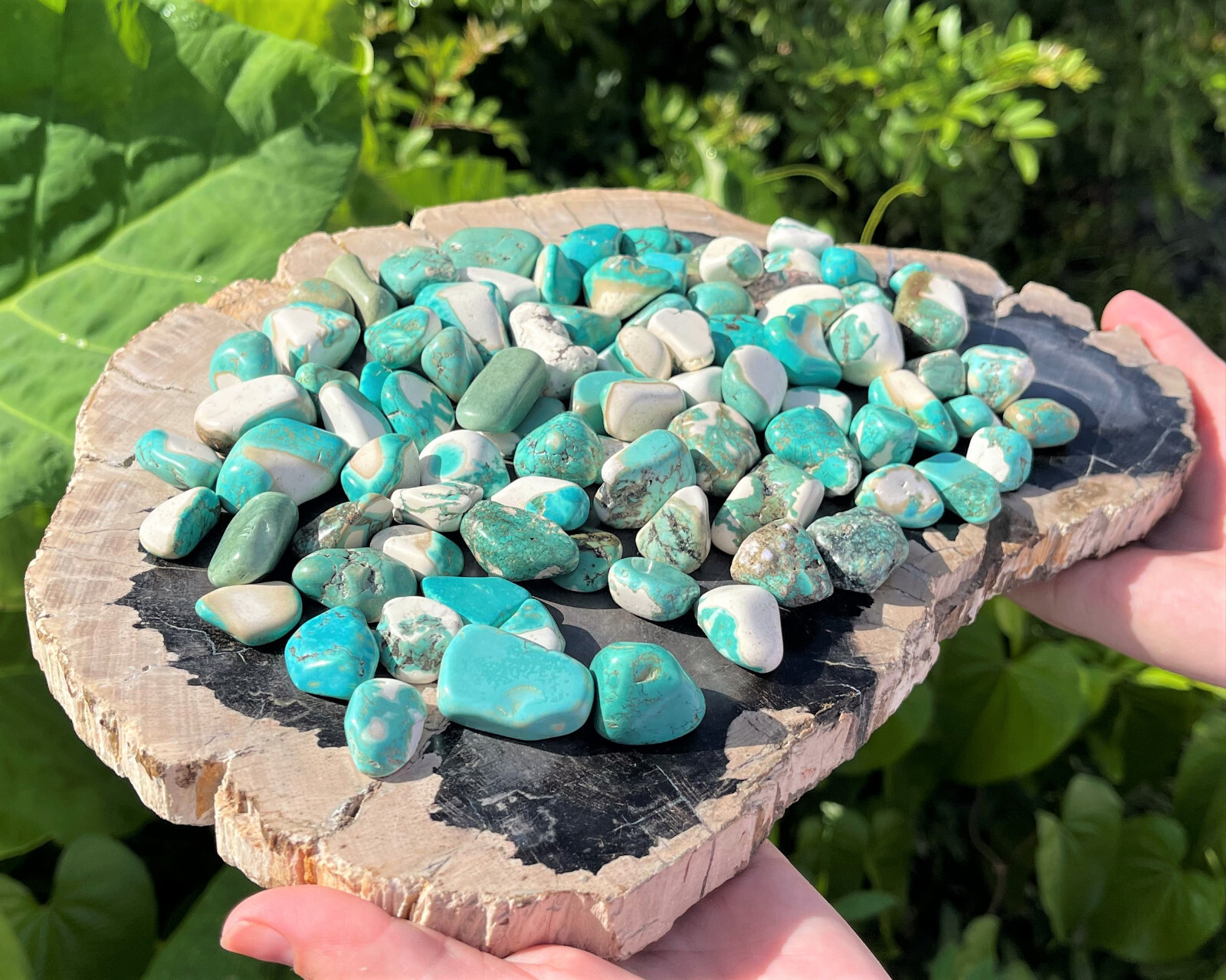 Turquoise Howlite Tumbled Stones: Choose Amount Ounces or lb Wholesale Bulk Lots