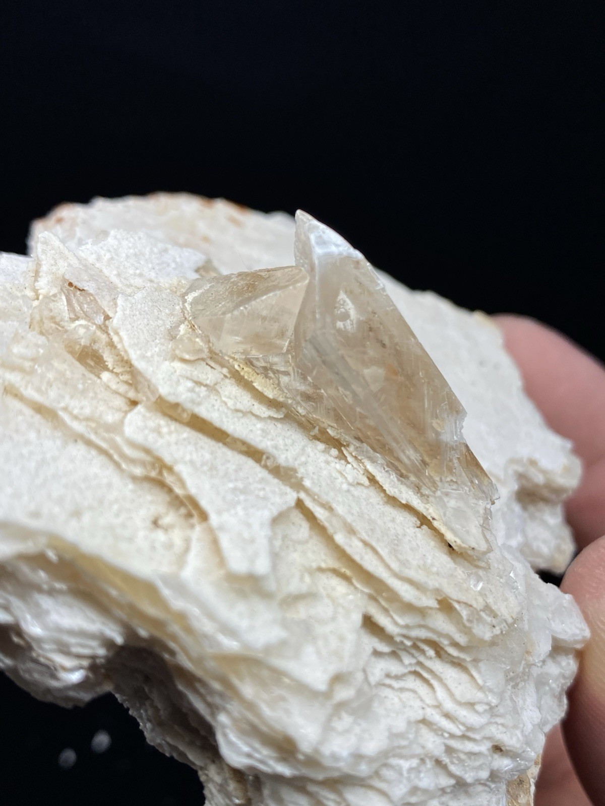 Selenite on Gypsum from Chihuahua, Mexico – Free Shipping