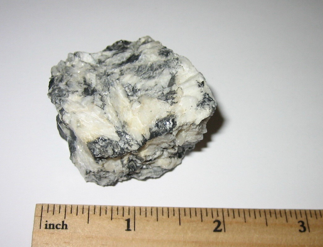 1.8″ RARE! NATURAL ROUGH PINOLITH FOSSIL STONE MINERAL FROM AUSTRIA 83.7grams *A
