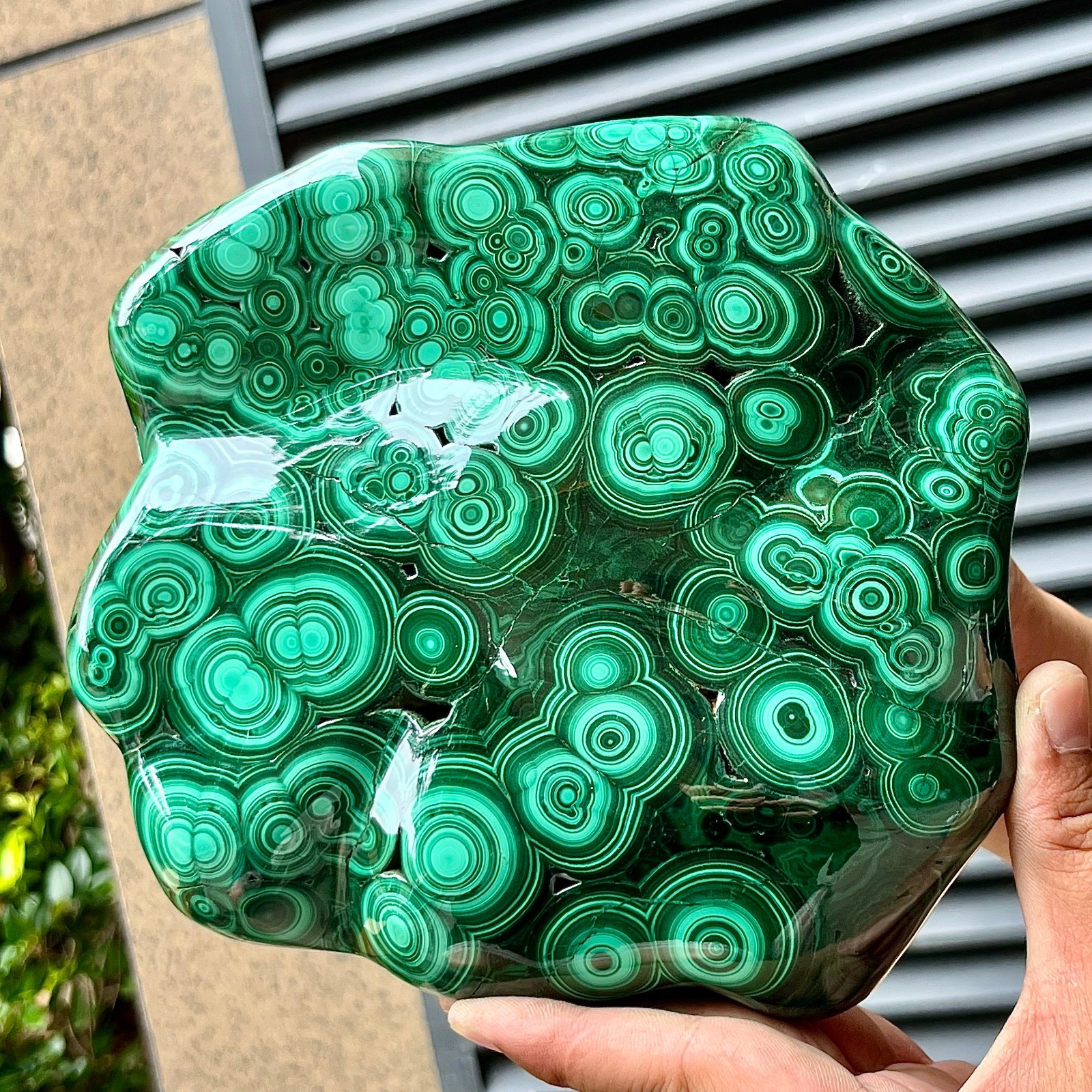 Natural Malachite Stone Polished Slab Bull Eye Pattern Display Decor 7.1 lb