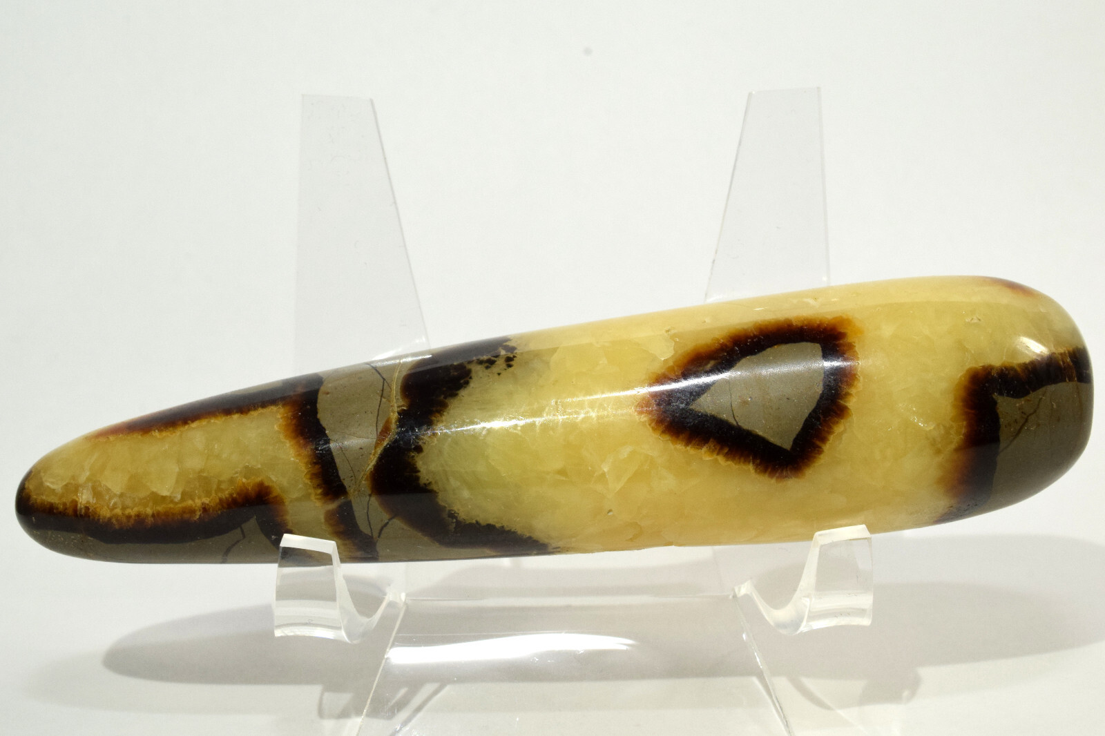 4.8″ Septarian Dragon Massage Wand Natural Calcite Aragonite Crystal Madagascar