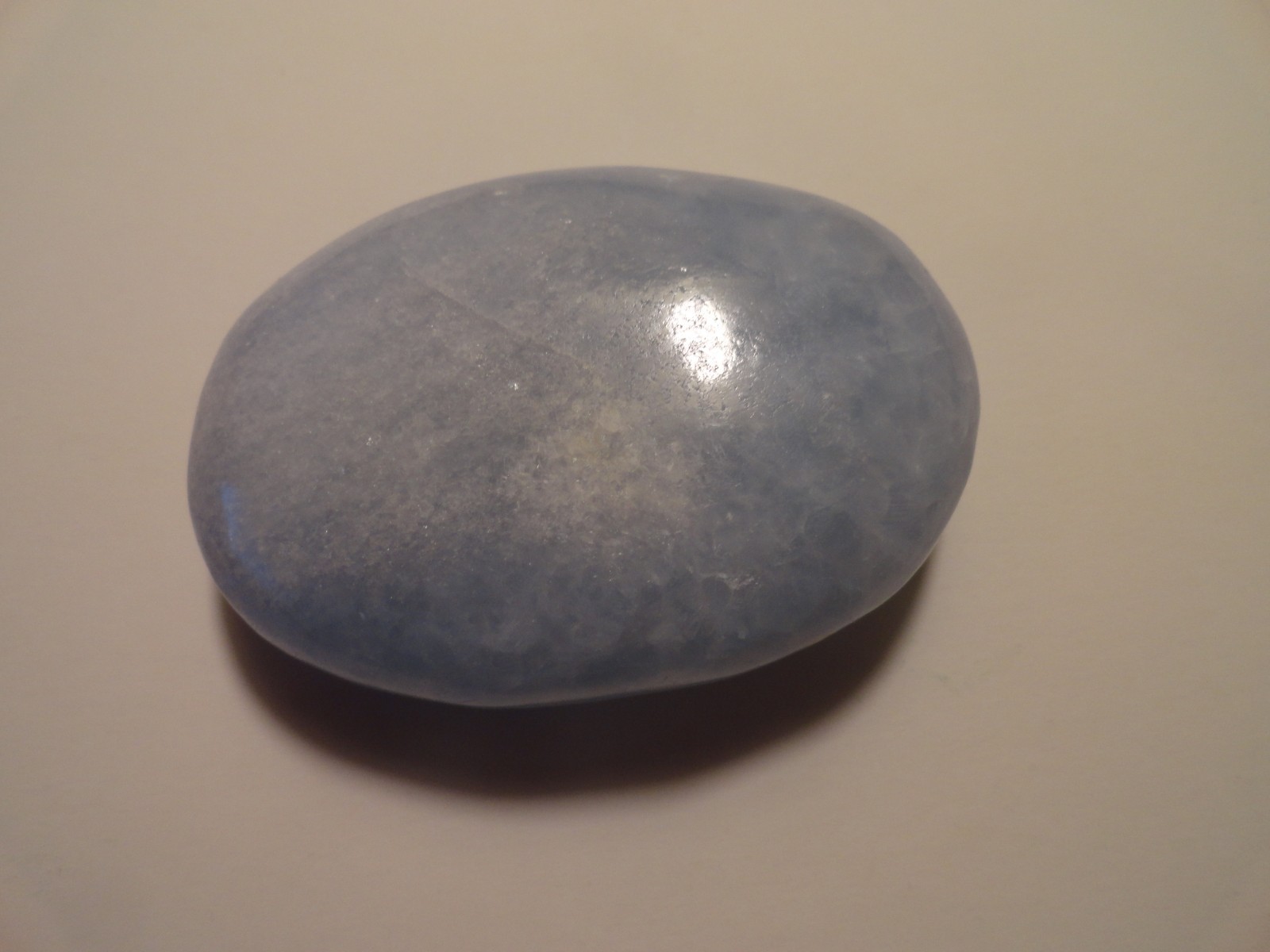 Polished Palm Stone lot
