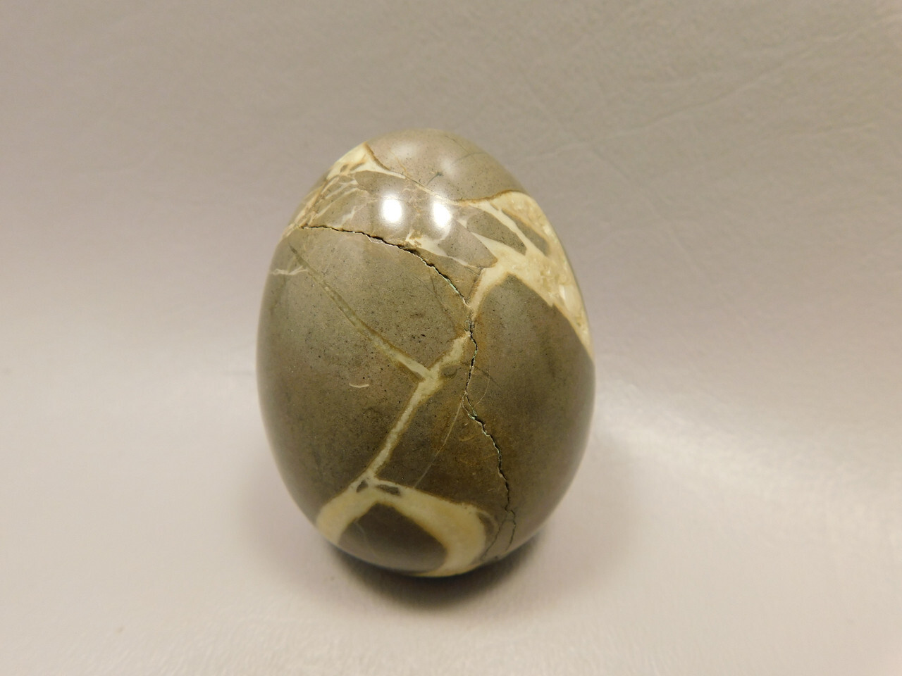 Septarian Nodule Egg Shaped 2.35 inch Polished Rock Utah Stone #O6