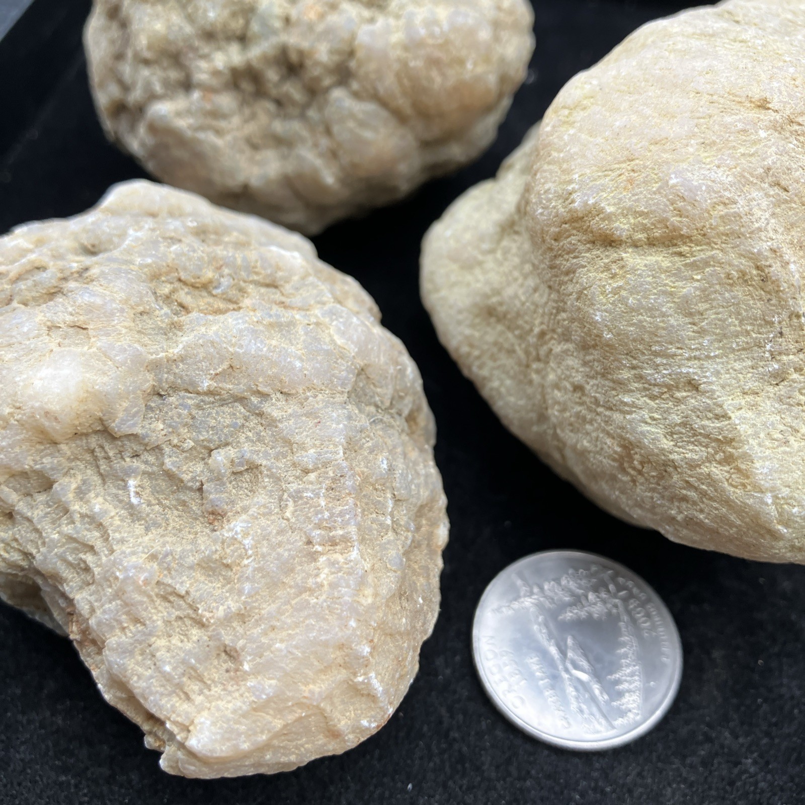 Three Unopened Indiana Geodes Crack Your Own! Fossils Minerals Educational Fun