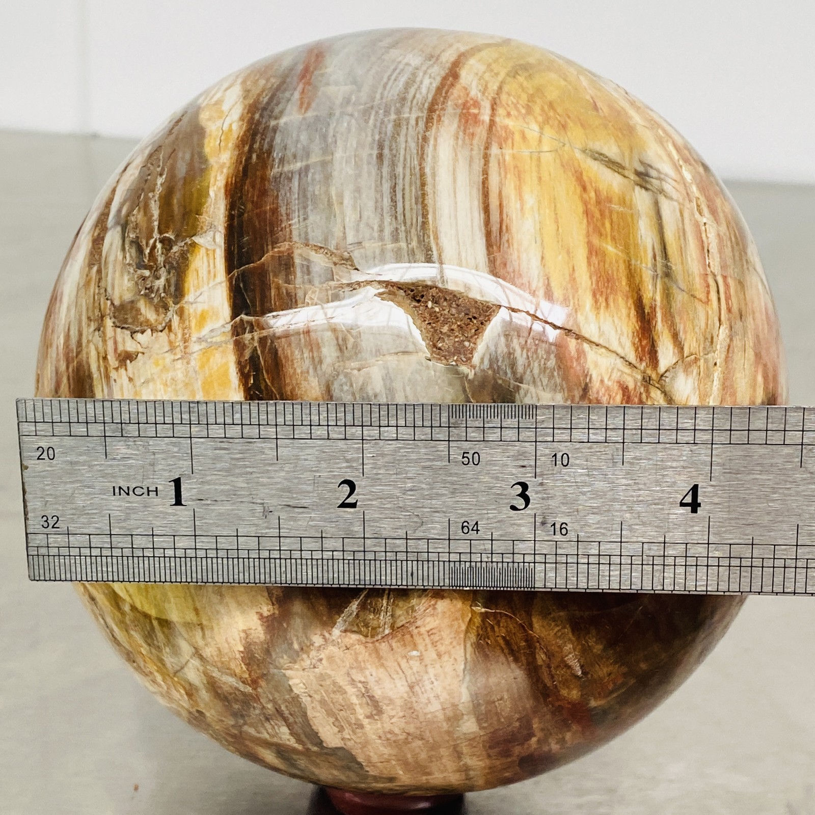 Natural Petrified Wood Polished Stone Quartz Crystal Sphere Ball Healing 3720G