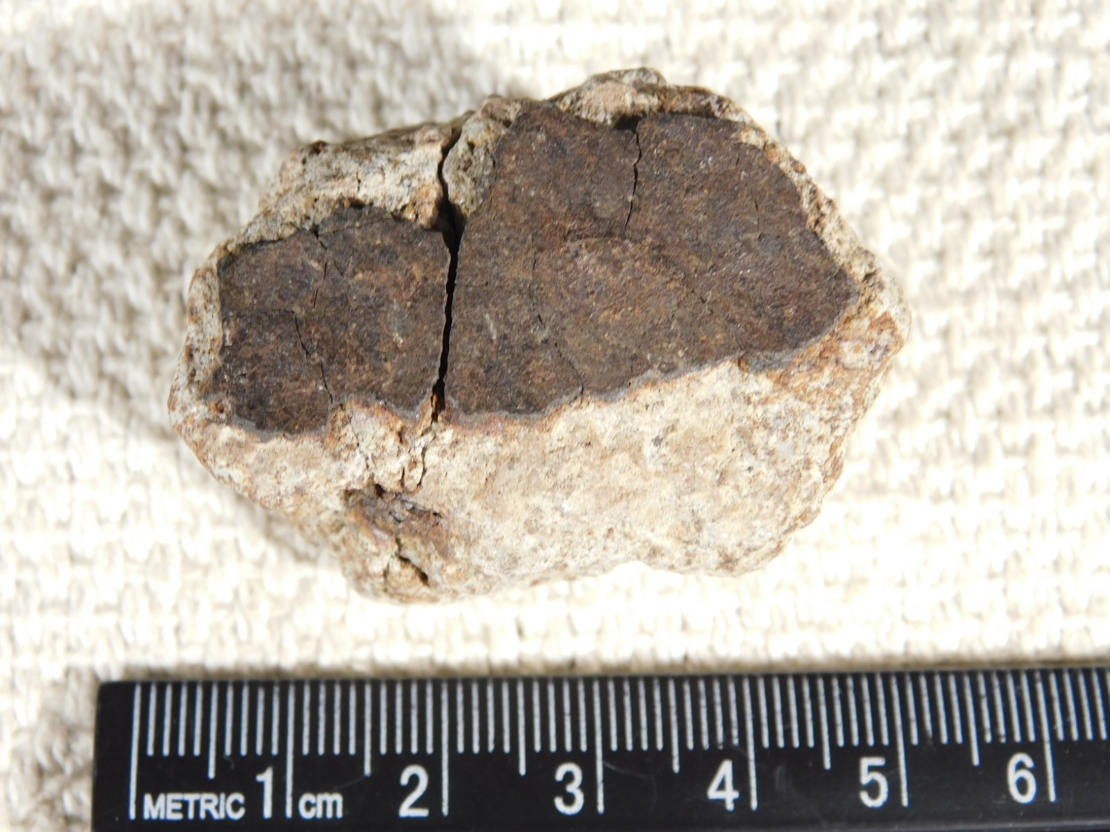 Classified NWA 8245 METEORITE Spots of Dark Fusion Crust! Erfoud, Morocco 52.8gr