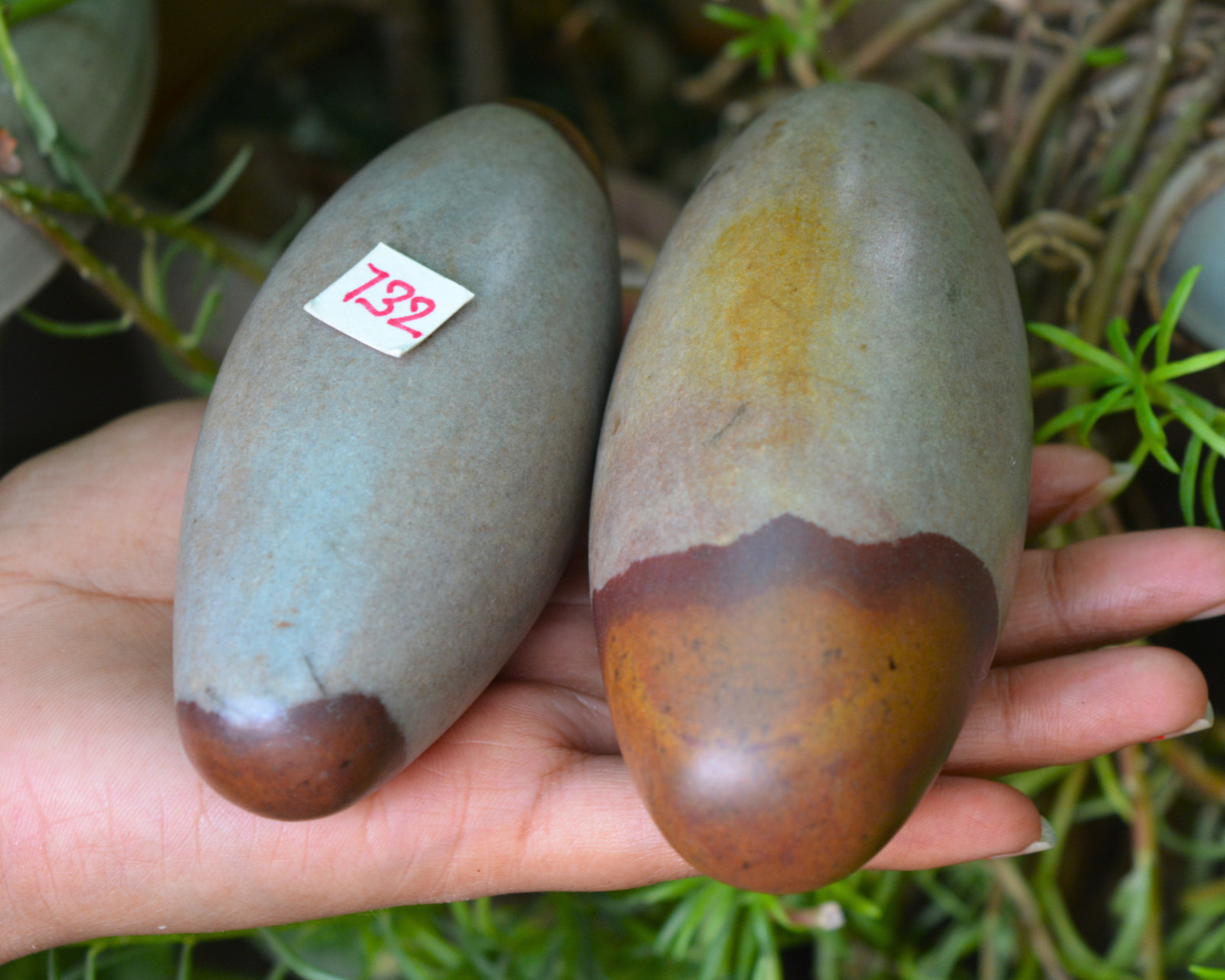 4″4.25″Elongated Egg Original Narmadeshwar River Shivling for Home for Puja~732