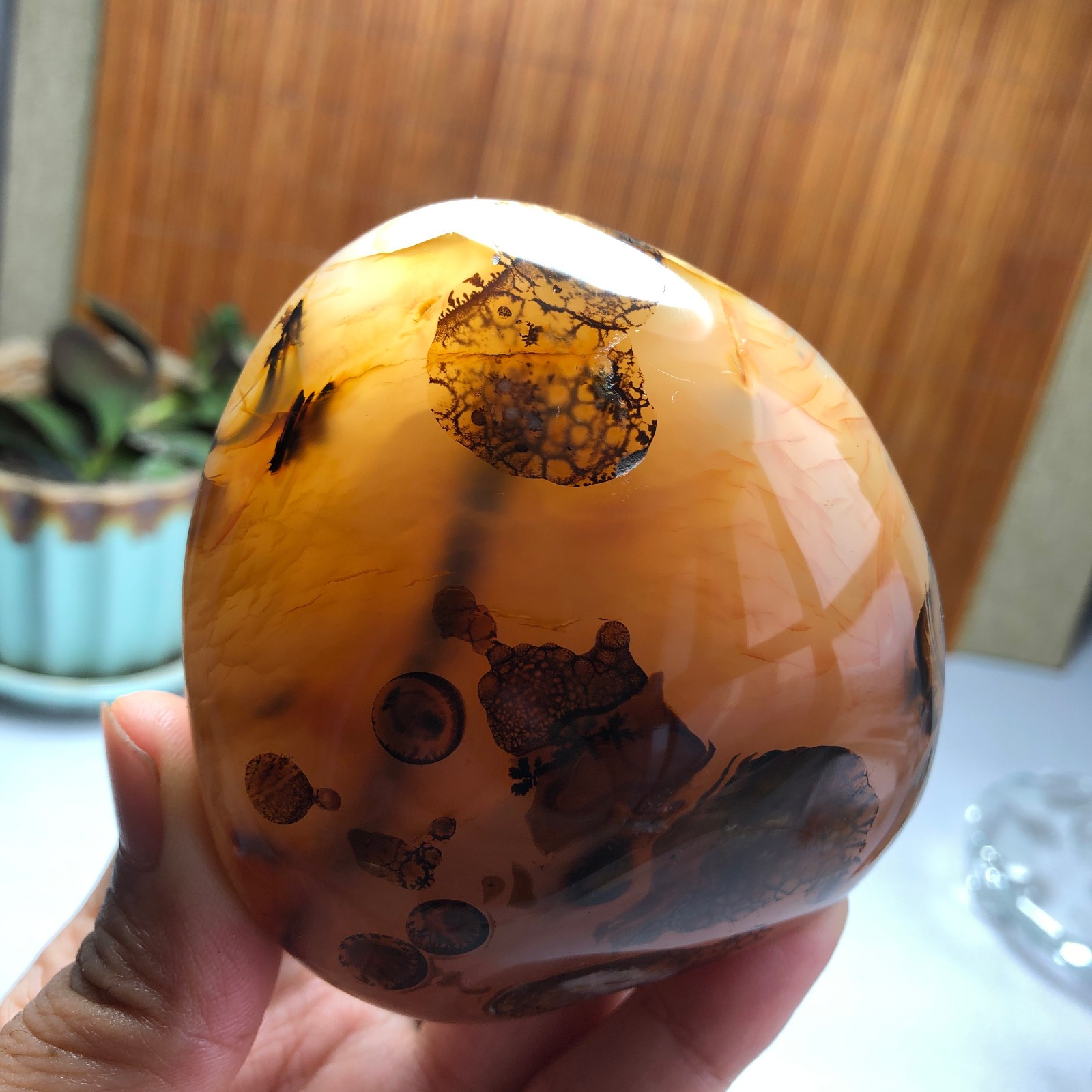 Natural aquatic plants agate pretty Crystal specimens free standing 331g A9998