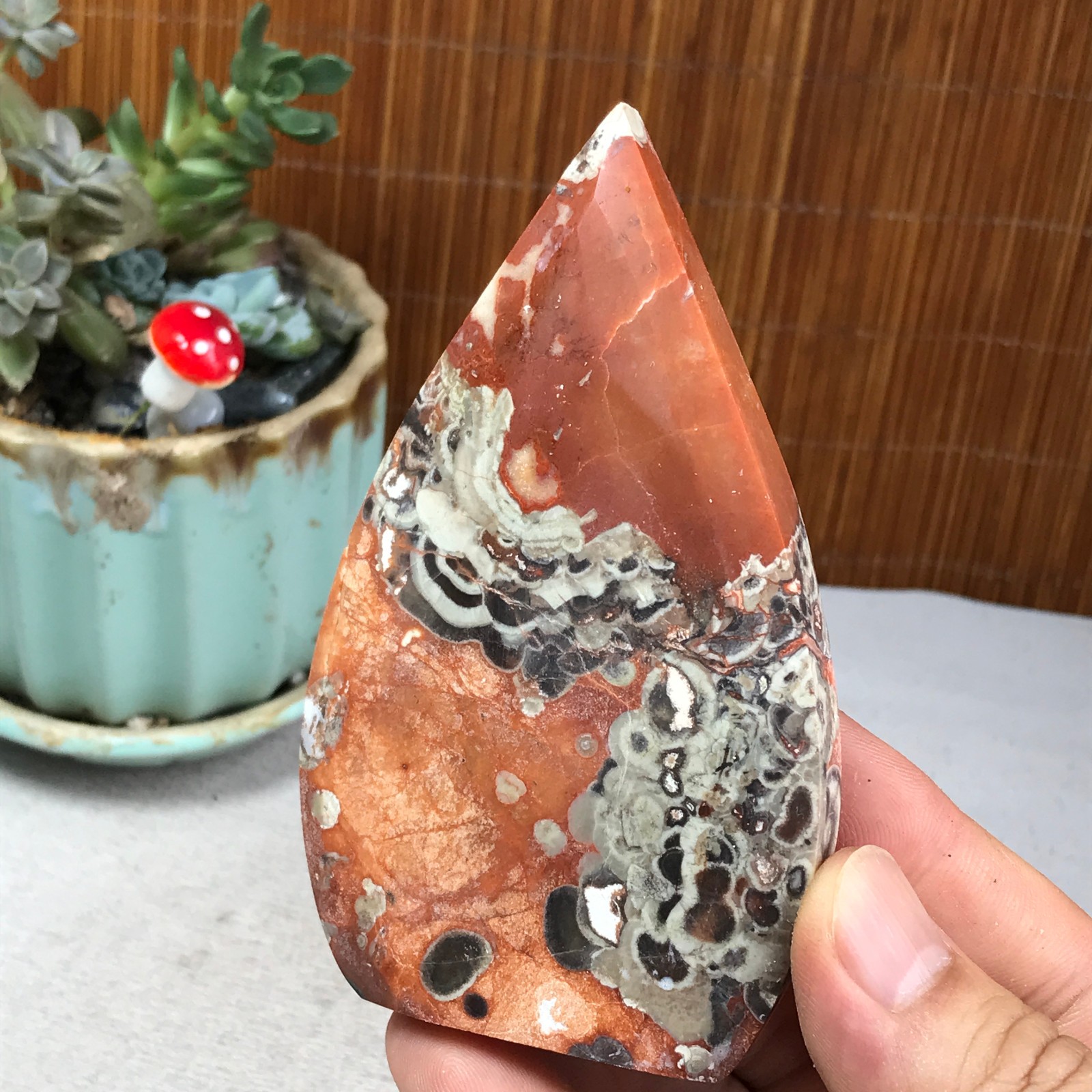Natural money Mexico agate hand carve leaf Crystal Specimen free standing A6261