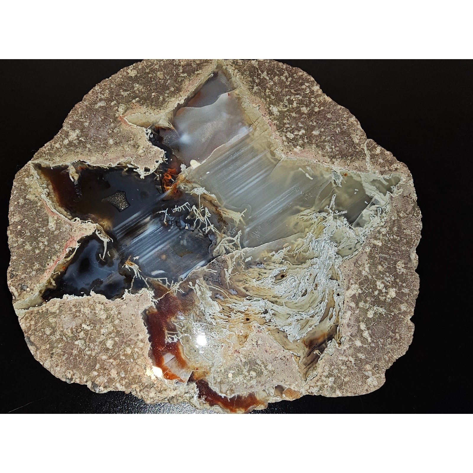 Thunder Egg Geode with Brown and White Chalcedony Crystal