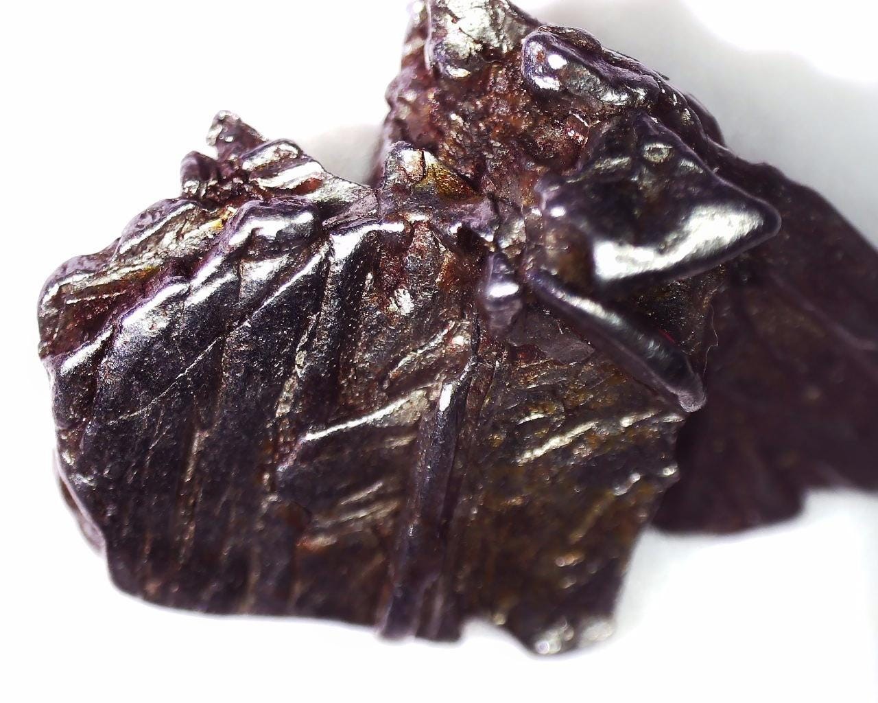Genuine Aletai Iron Meteorite / From the Asteroid Belt Between MARS AND JUPITER!