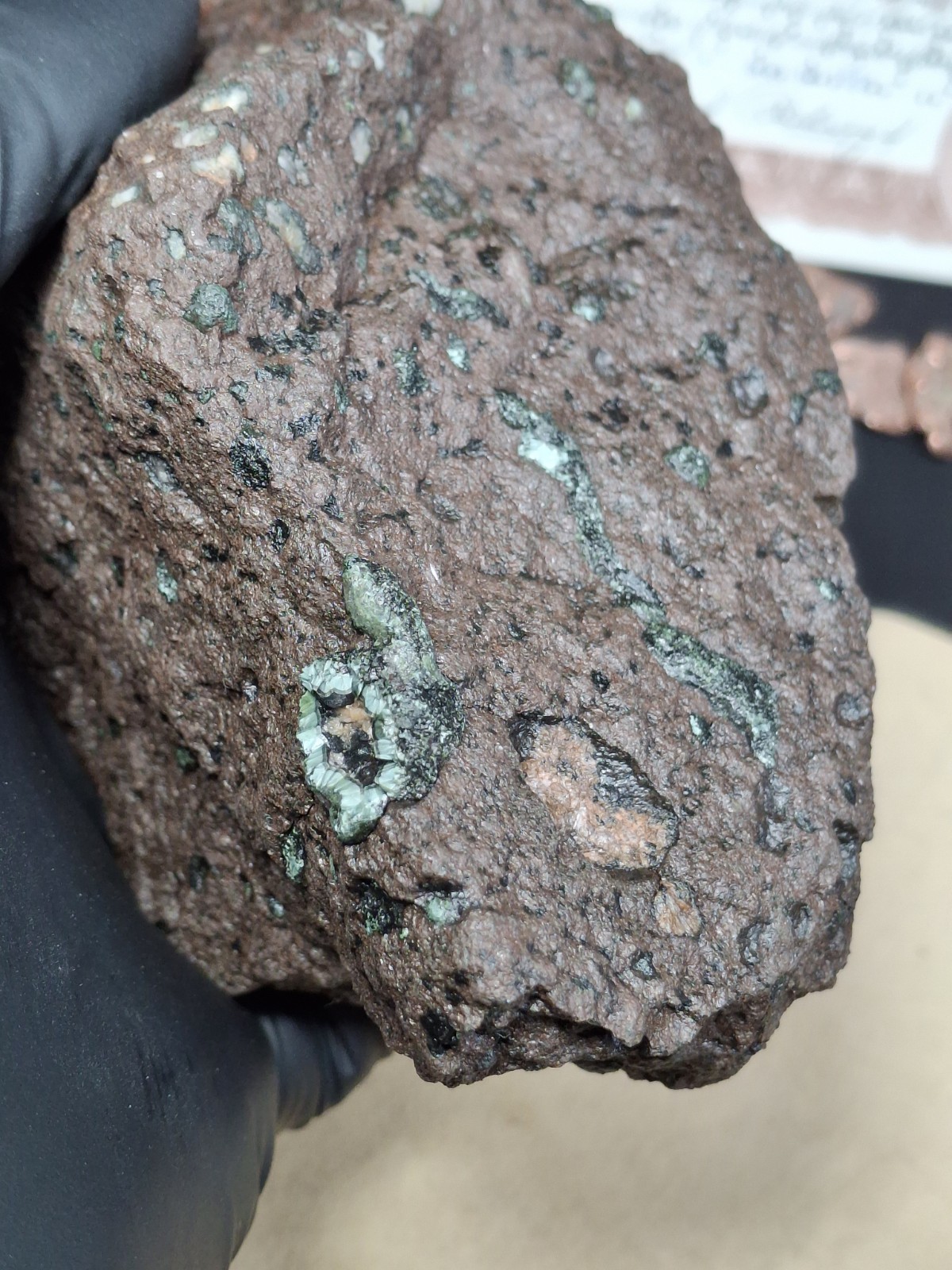 2lb 9oz Big Chunky Raw Greenstone Bright Isle Royale Chlorastrolite In Matrix