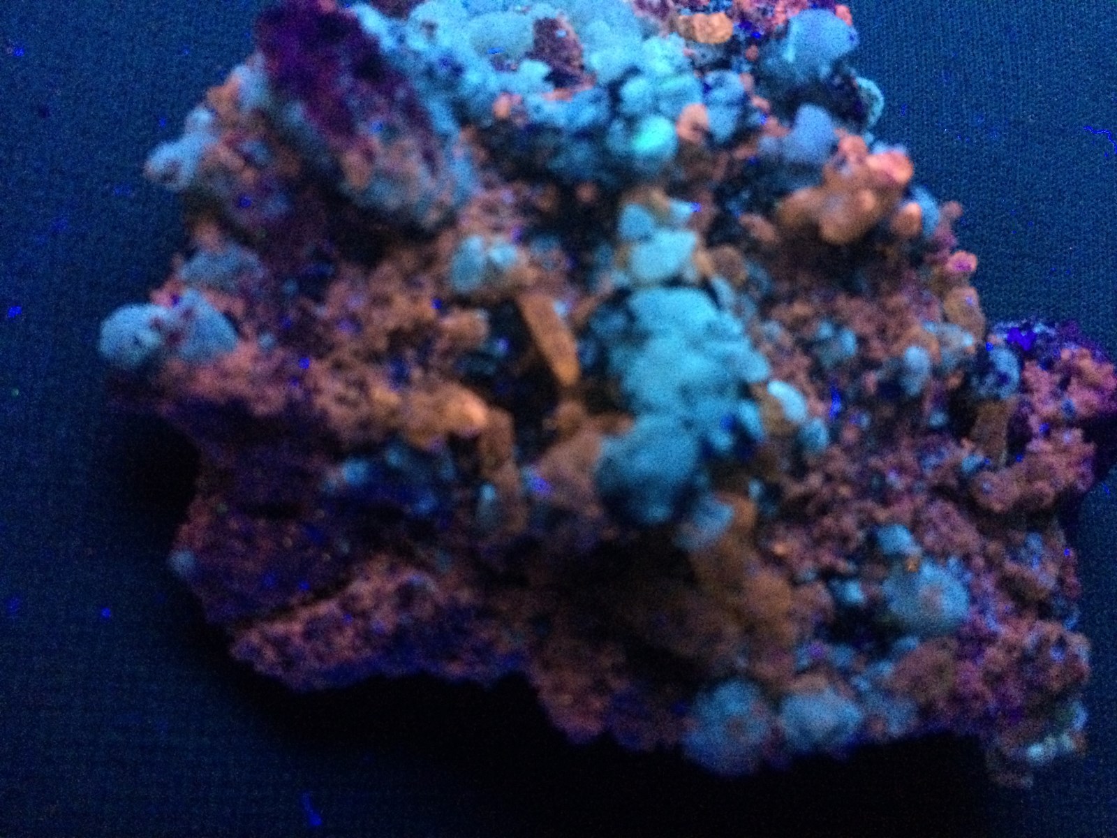 KB: BRIGHT SW FL. ORANGE APATITE XLS. W/ FL. WHITE CALCITE FROM SPAIN