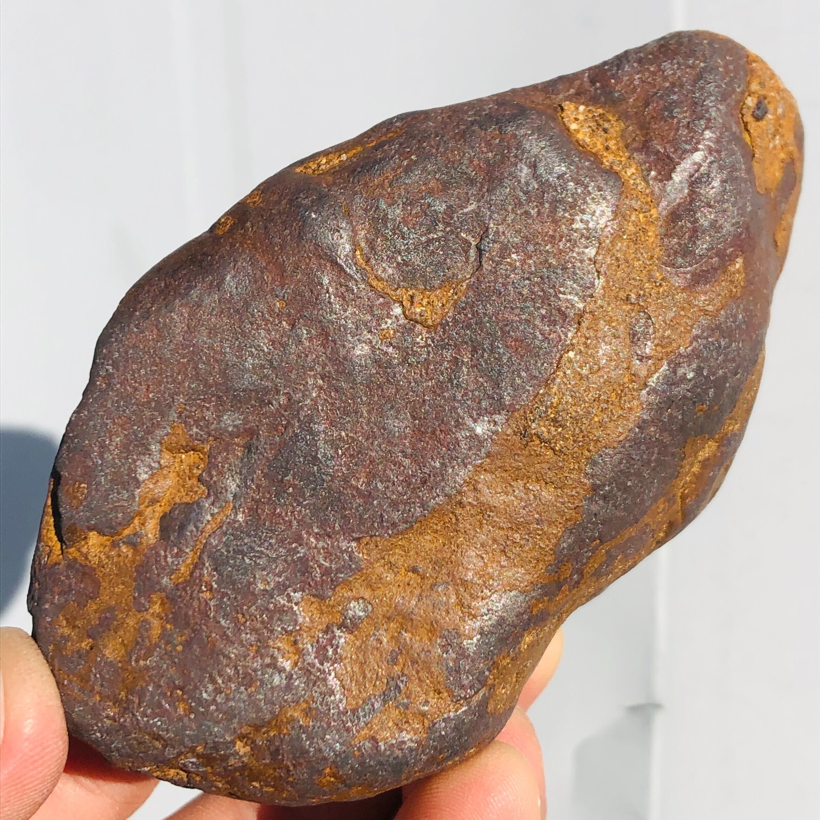 1.62lb STONY IRON H CHONDRITE METEORITE Polished Carved Space Rock Specimen