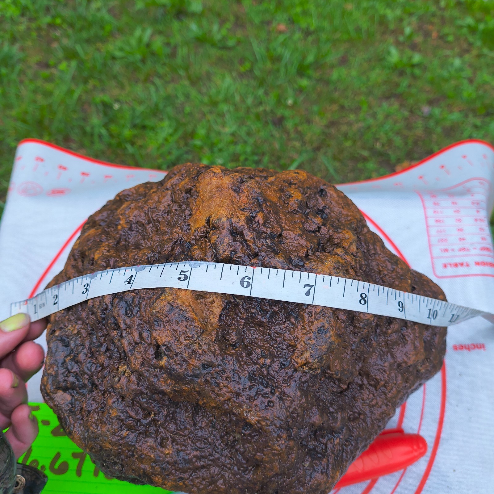 HUGE 16.67 LB Kentucky Geode 24″ Circumference Uncracked Potential Hollow Rock