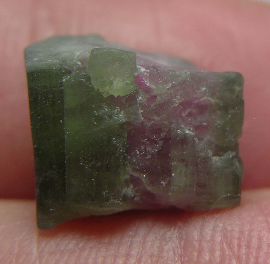 8.50ct Afghan 100% Natural Raw Watermelon Tourmaline Crystal Specimen 1.65g 11mm