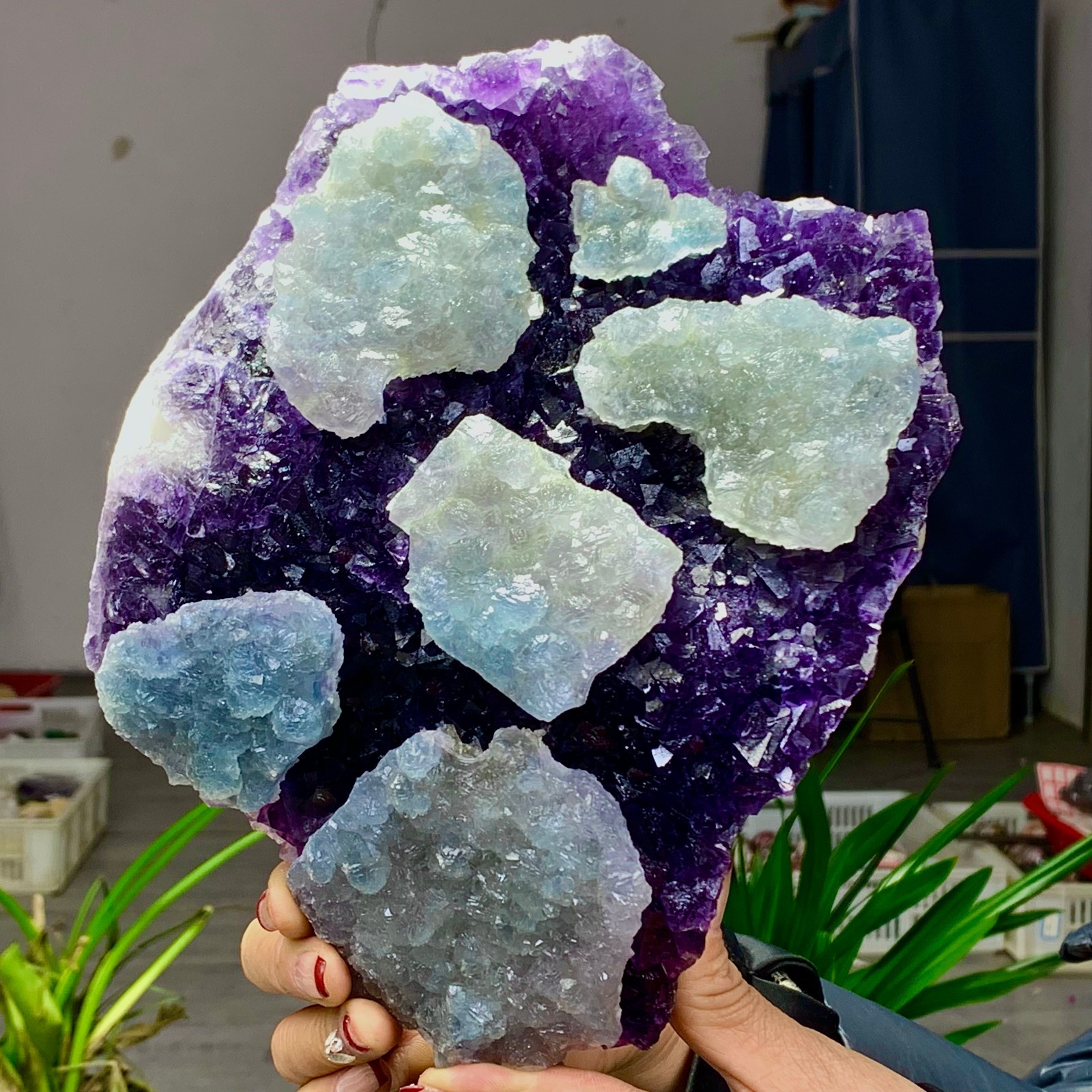 8.6LB Rare Purple Green blue cubic fluorite mineral crystal sample/Zhejiang