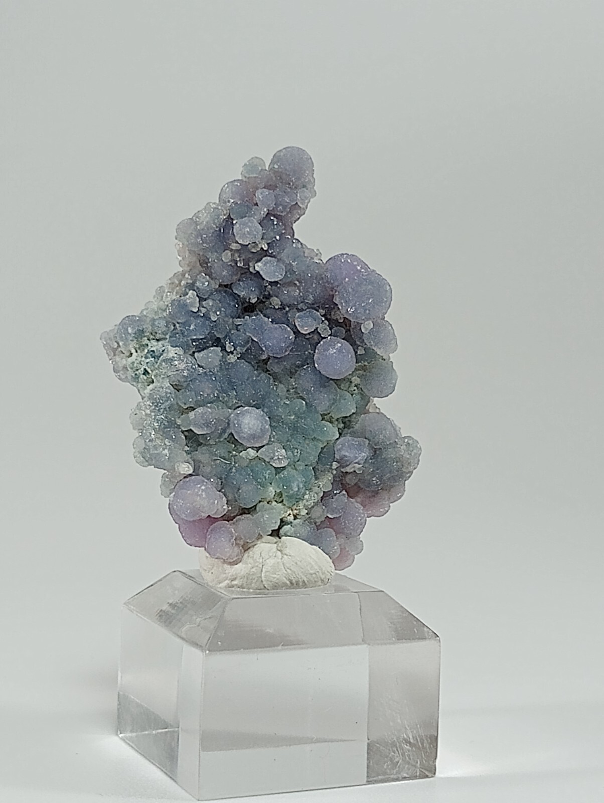 Bicolor Grape Agate Sulawesi Indonesia