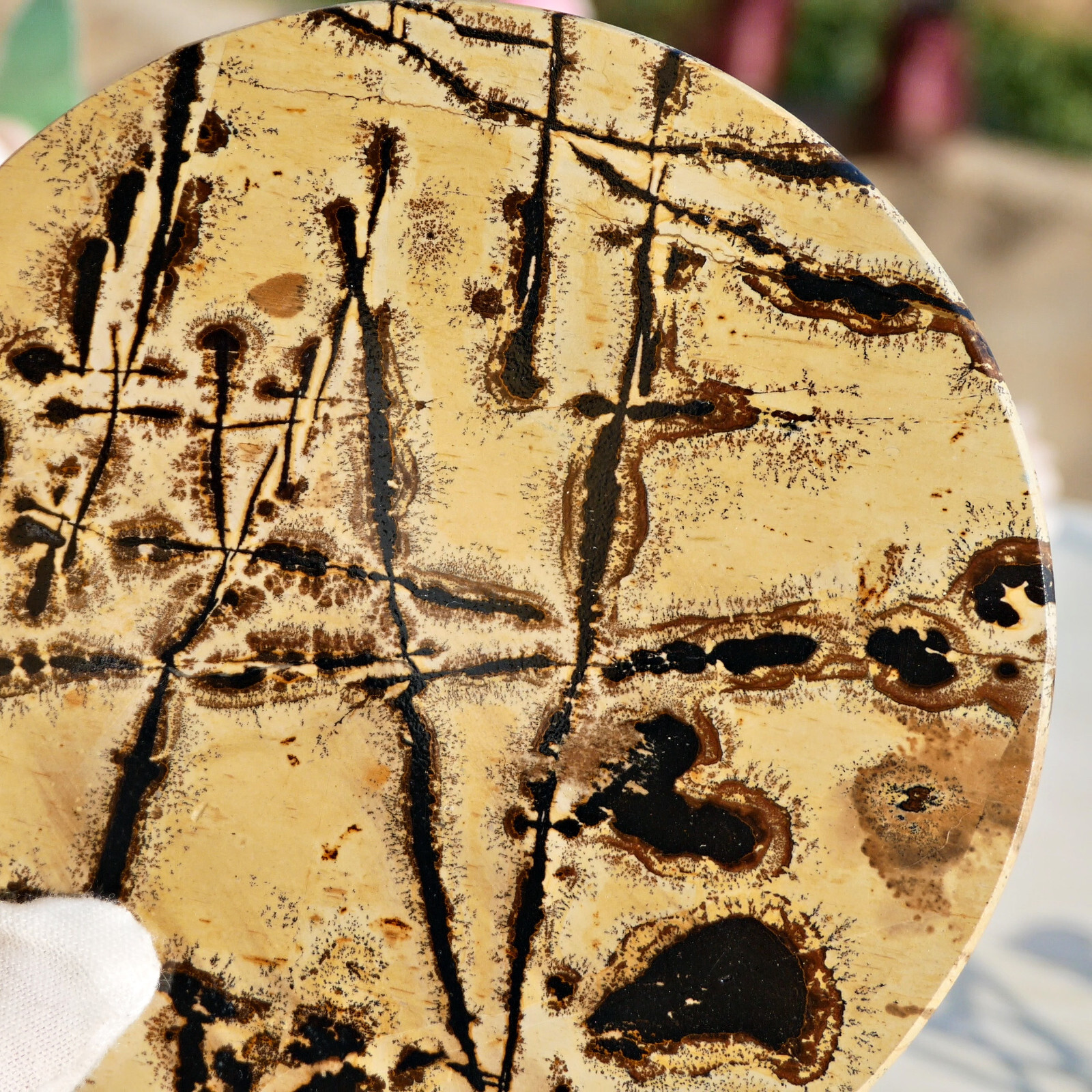Natural Picture Jasper Landscape Slice 4.7″Large Crystal Display Art Stone Decor