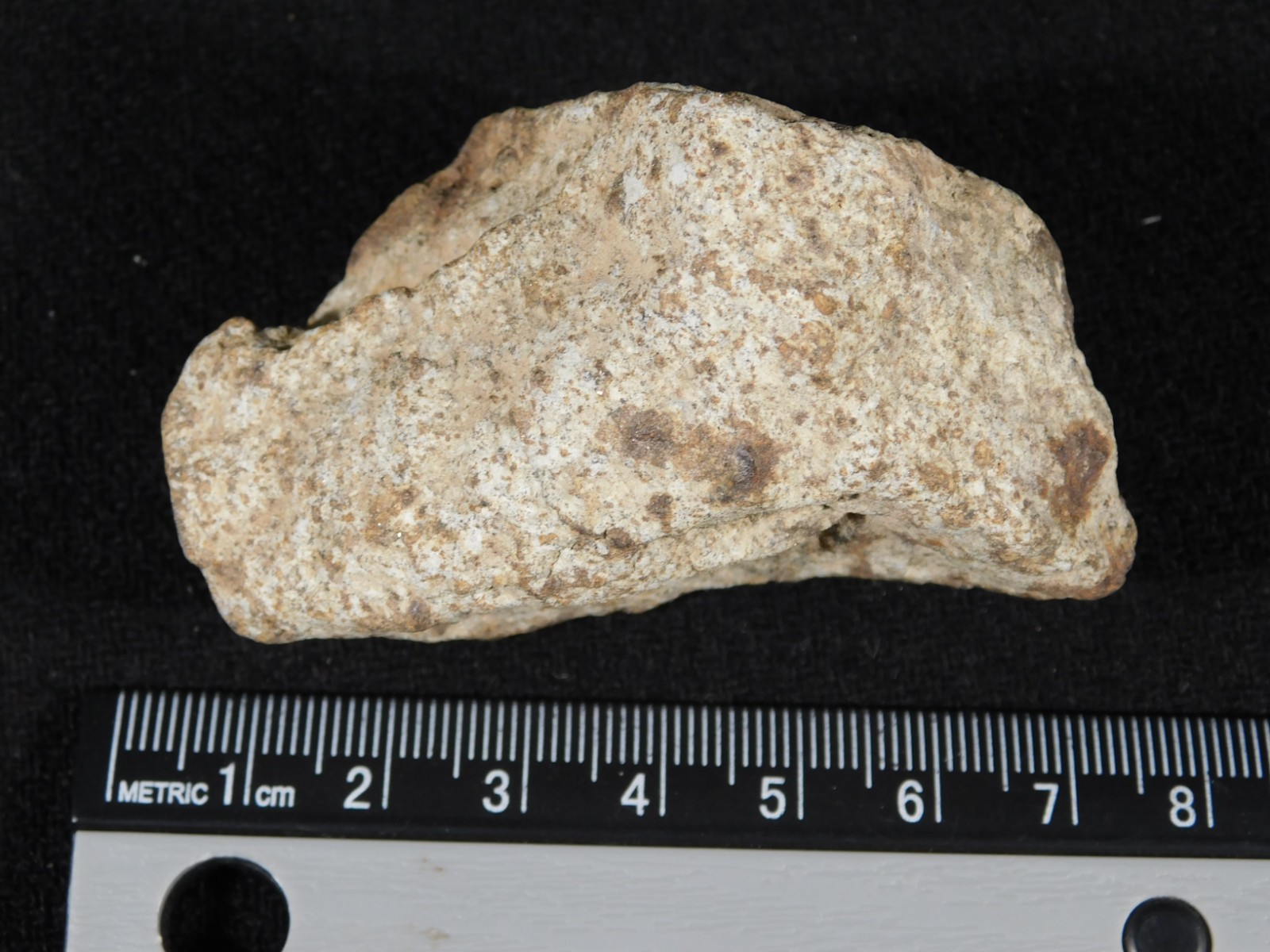 Classified NWA 8245 METEORITE 100% Natural Erfoud, Morocco 147gr