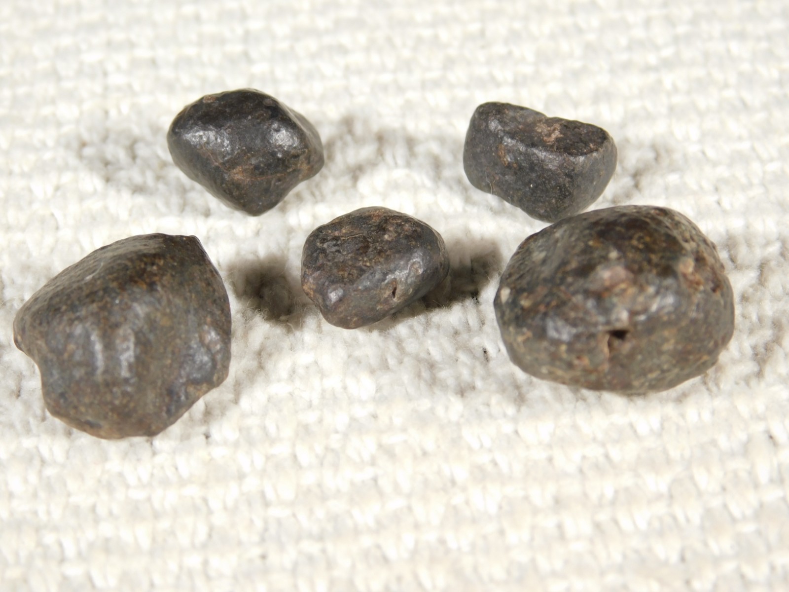 Lot of FIVE! Little 100% Natural N.W.A. Stony METEORITES Algeria 13.2gr