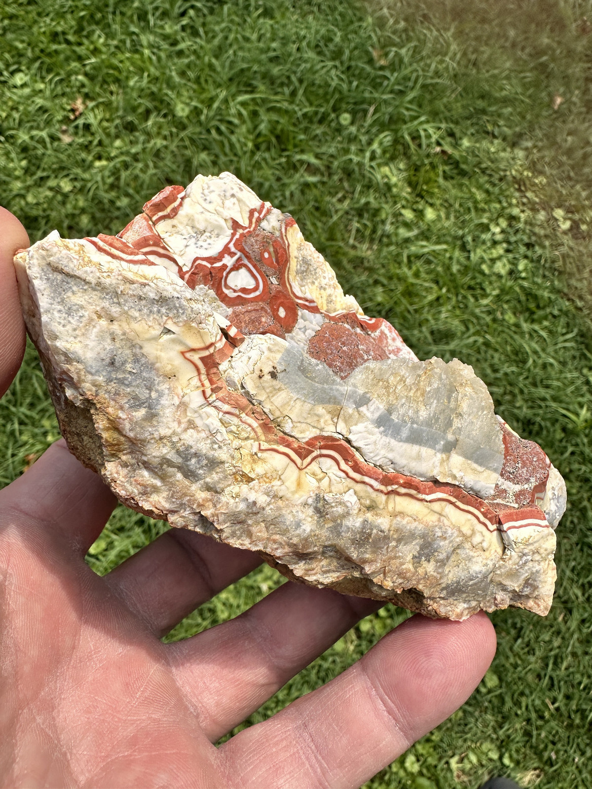 Large Natural Rare Kentucky Agate Rough from Estill County