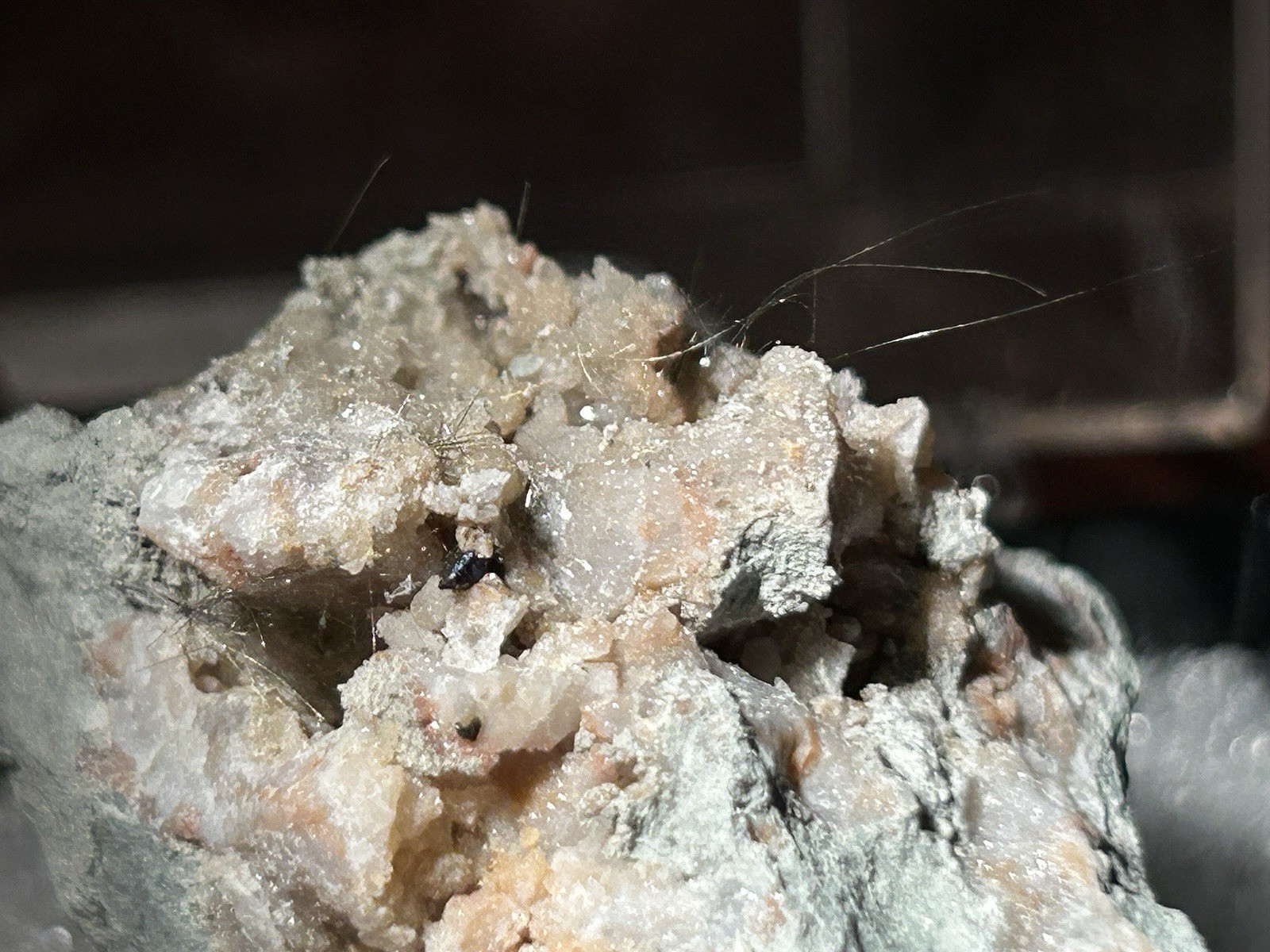 MILLERITE, Chalcopyrite, Pyrite, Quartz – Halls Gap, Lincoln County, Kentucky