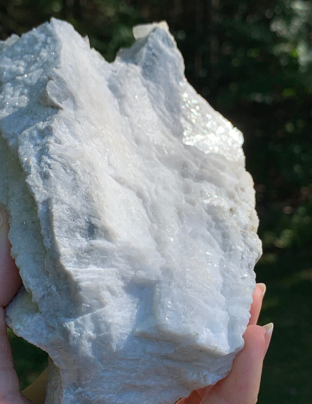 STRONTIANITE LARGE MUSEUM QUALITY SPECIMEN NATURAL TERMINATED CRYSTALS MATRIX