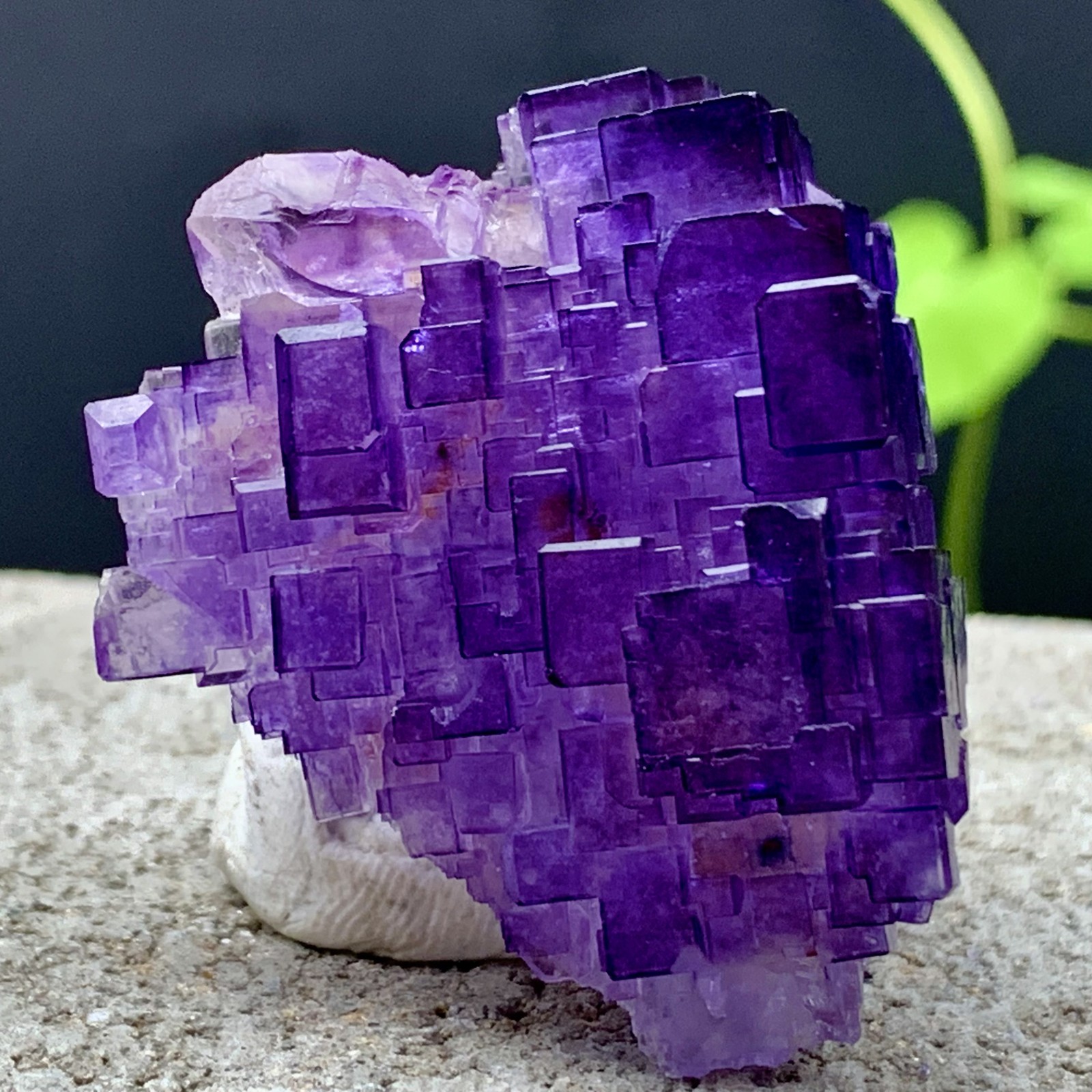 53G Natural purple fluorite Matrix array stepped fluoritemineral specimen/China